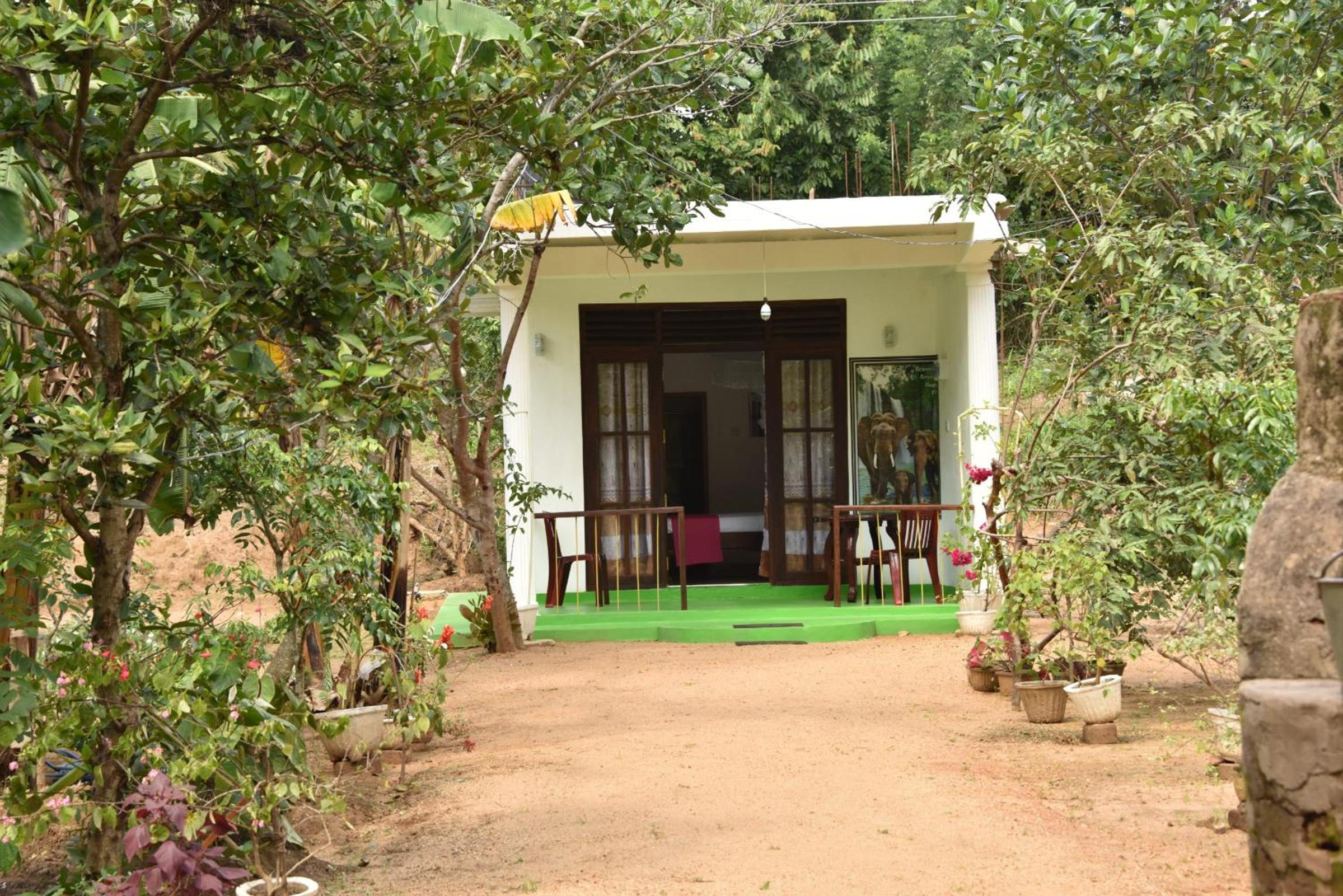 Sigiri Elephant View Guest