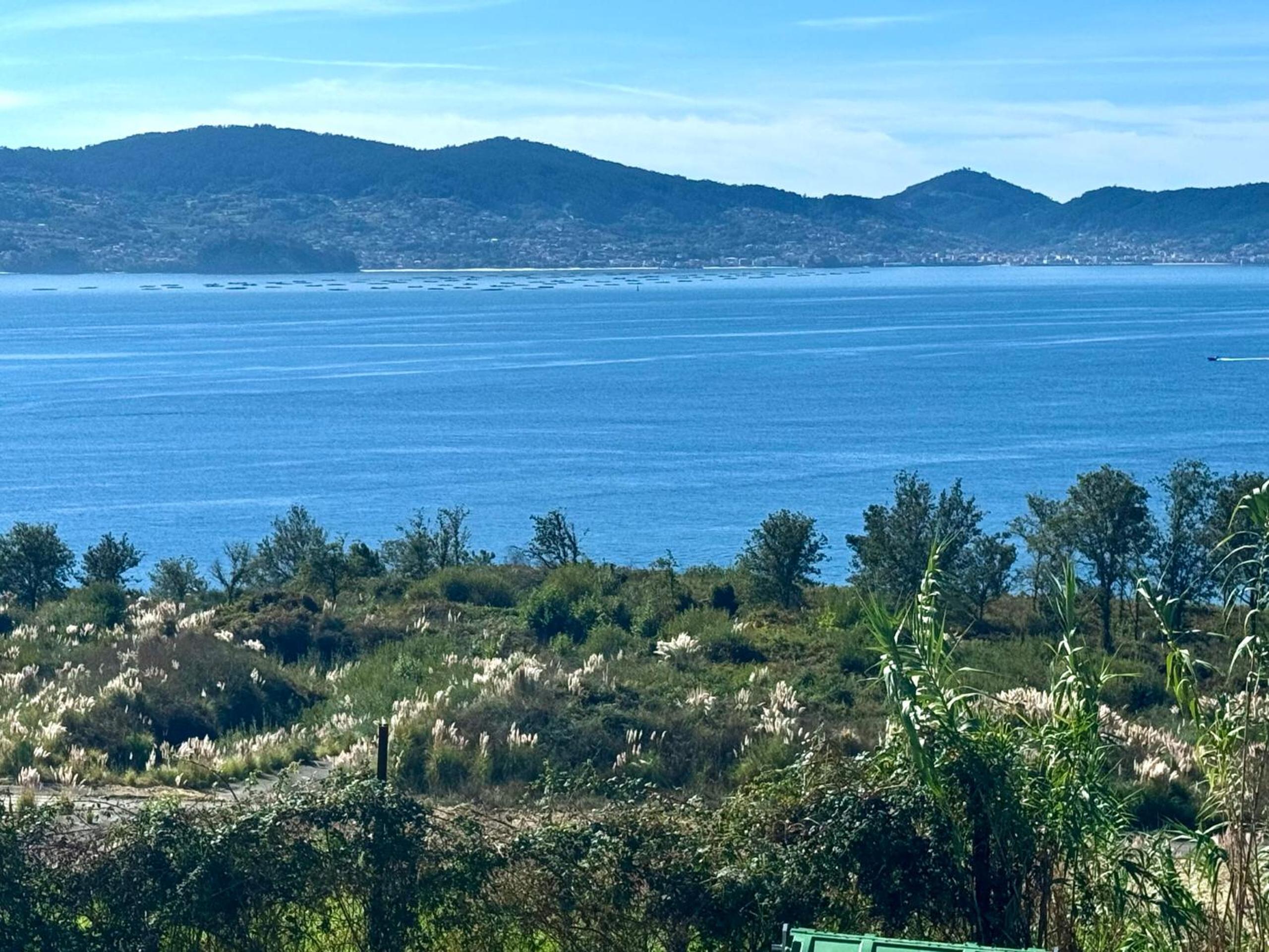 Costa Areas