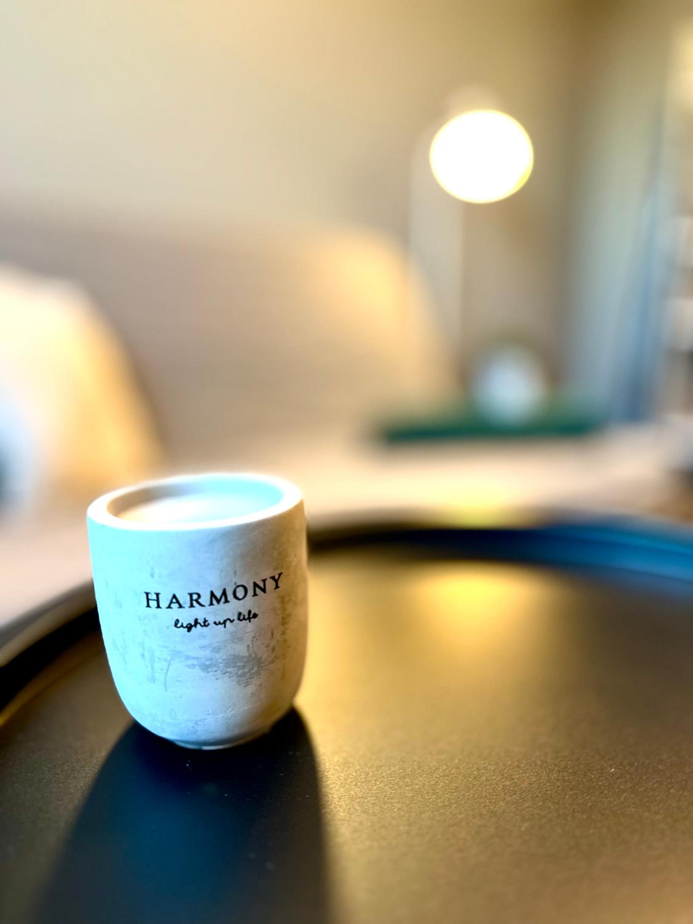 PANORAMA APARTMENT