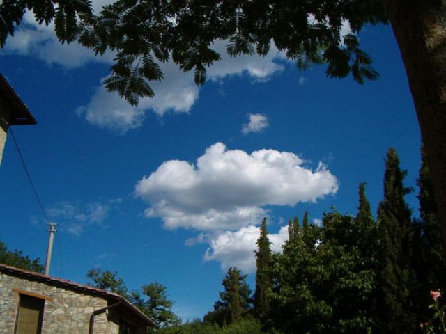 La Capanna della Dudda view 5