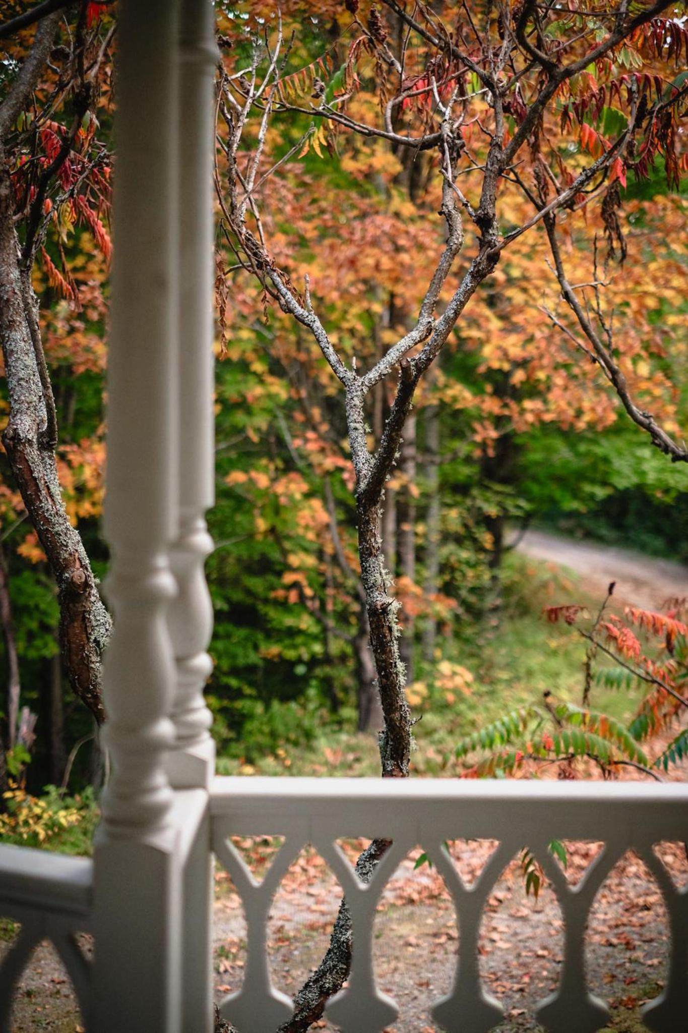 Le Pavillon! Comfort in Nature with spa and fireplaces