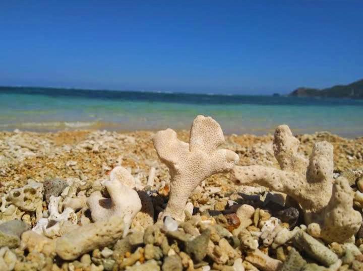 Mandalika Beach