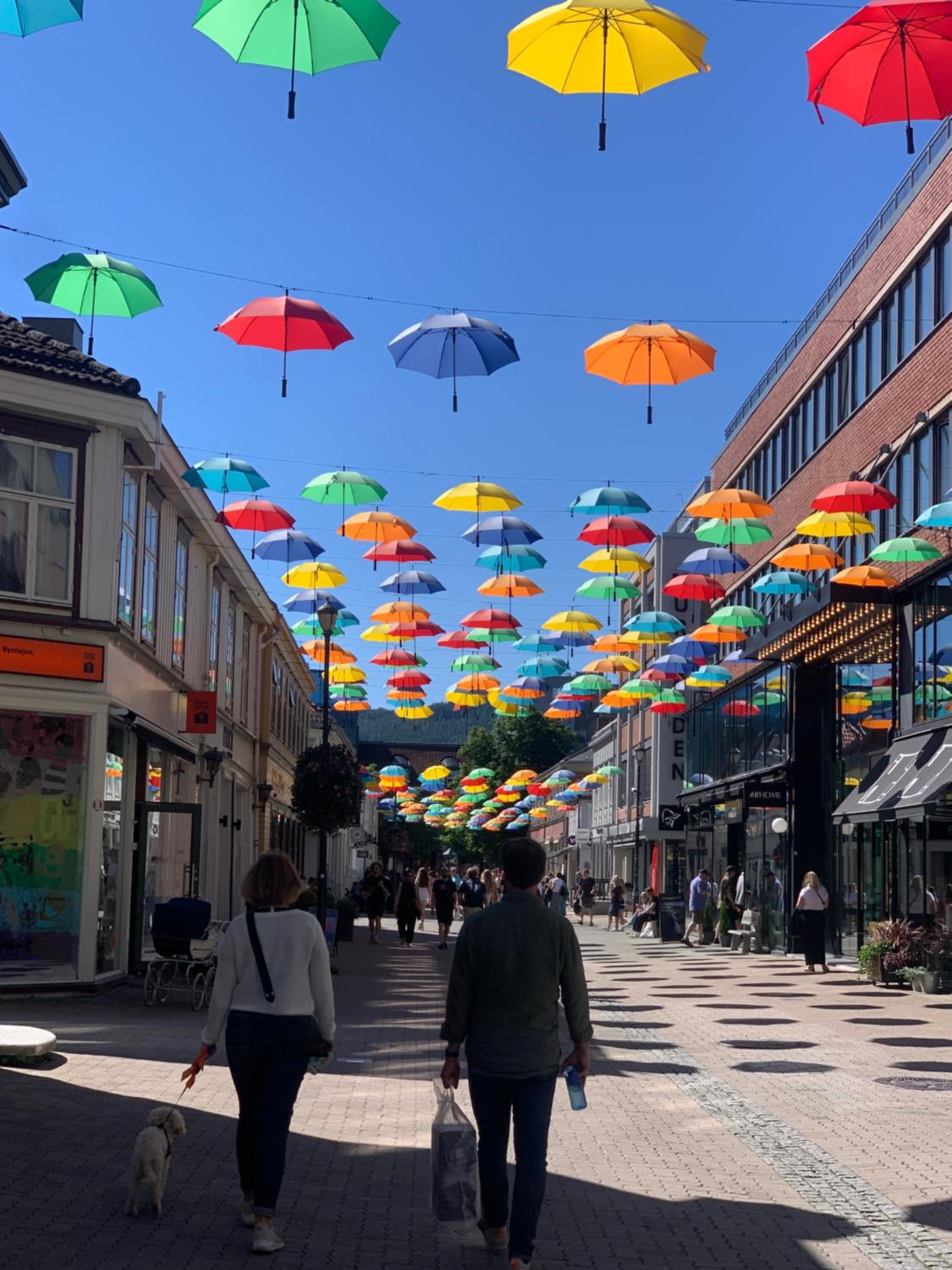 Brygga B&B Trondheim sentrum, privat rom i vårt hjem view 4