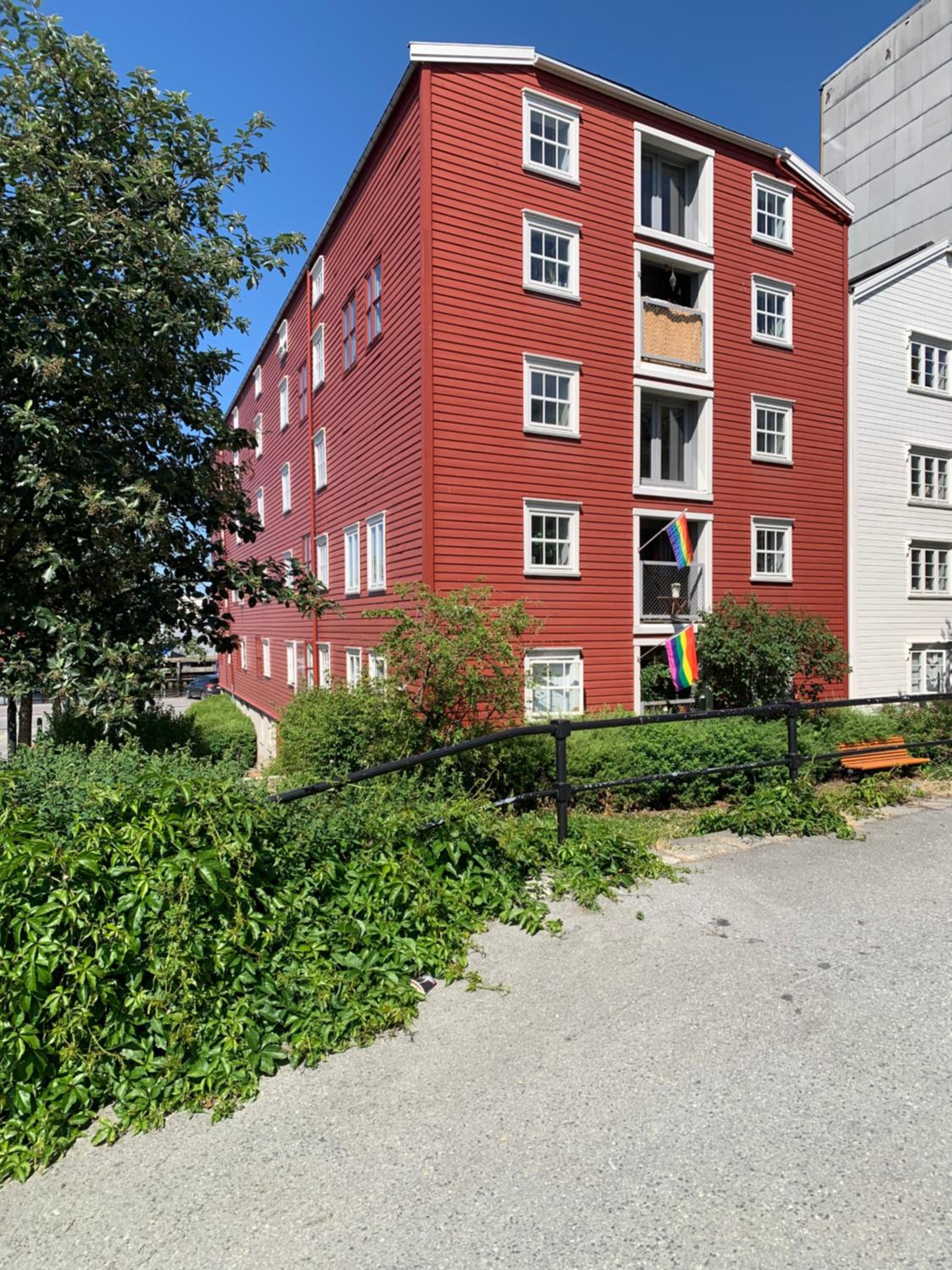 Photo 9