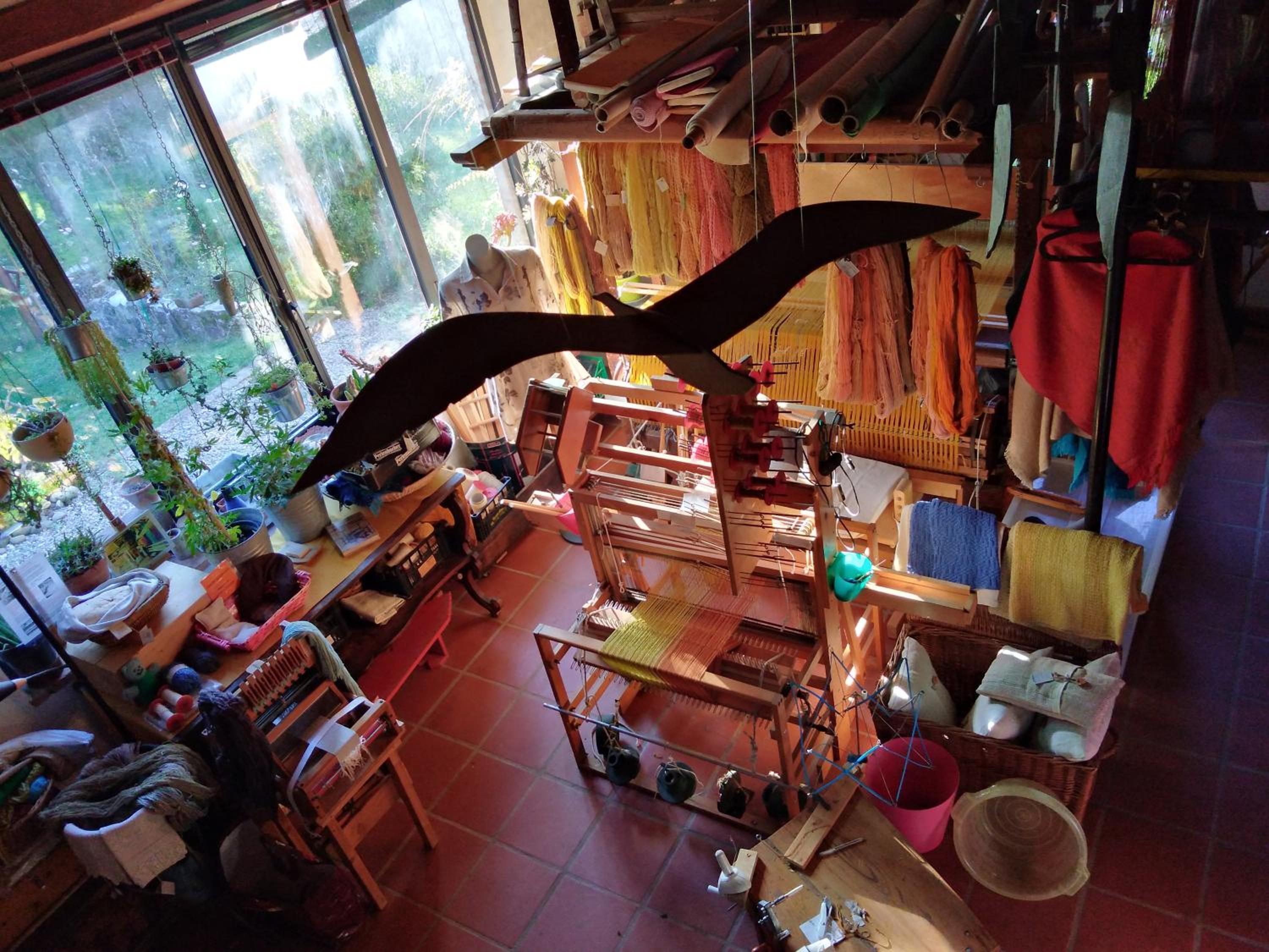 Photo 16