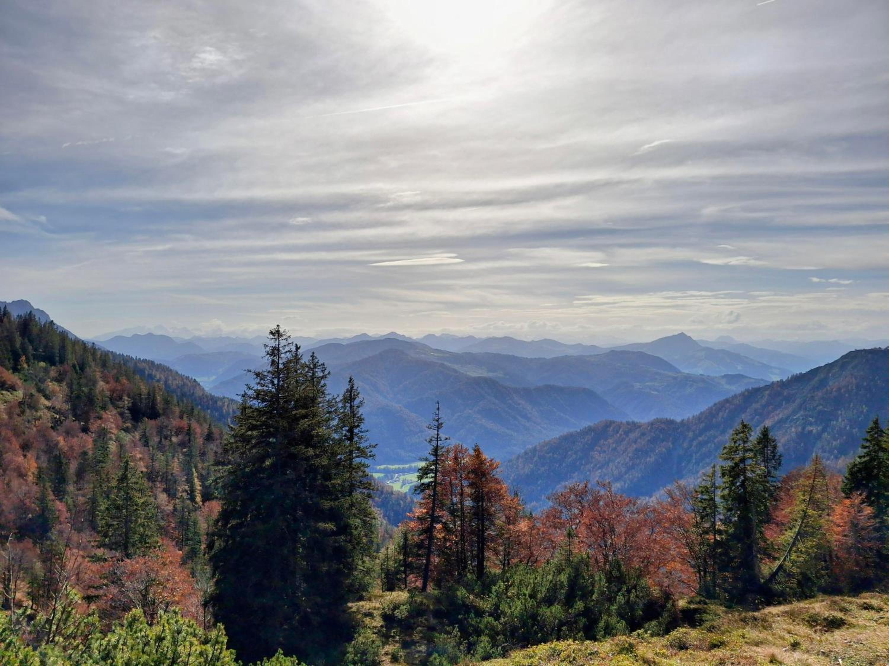 Lampererhof