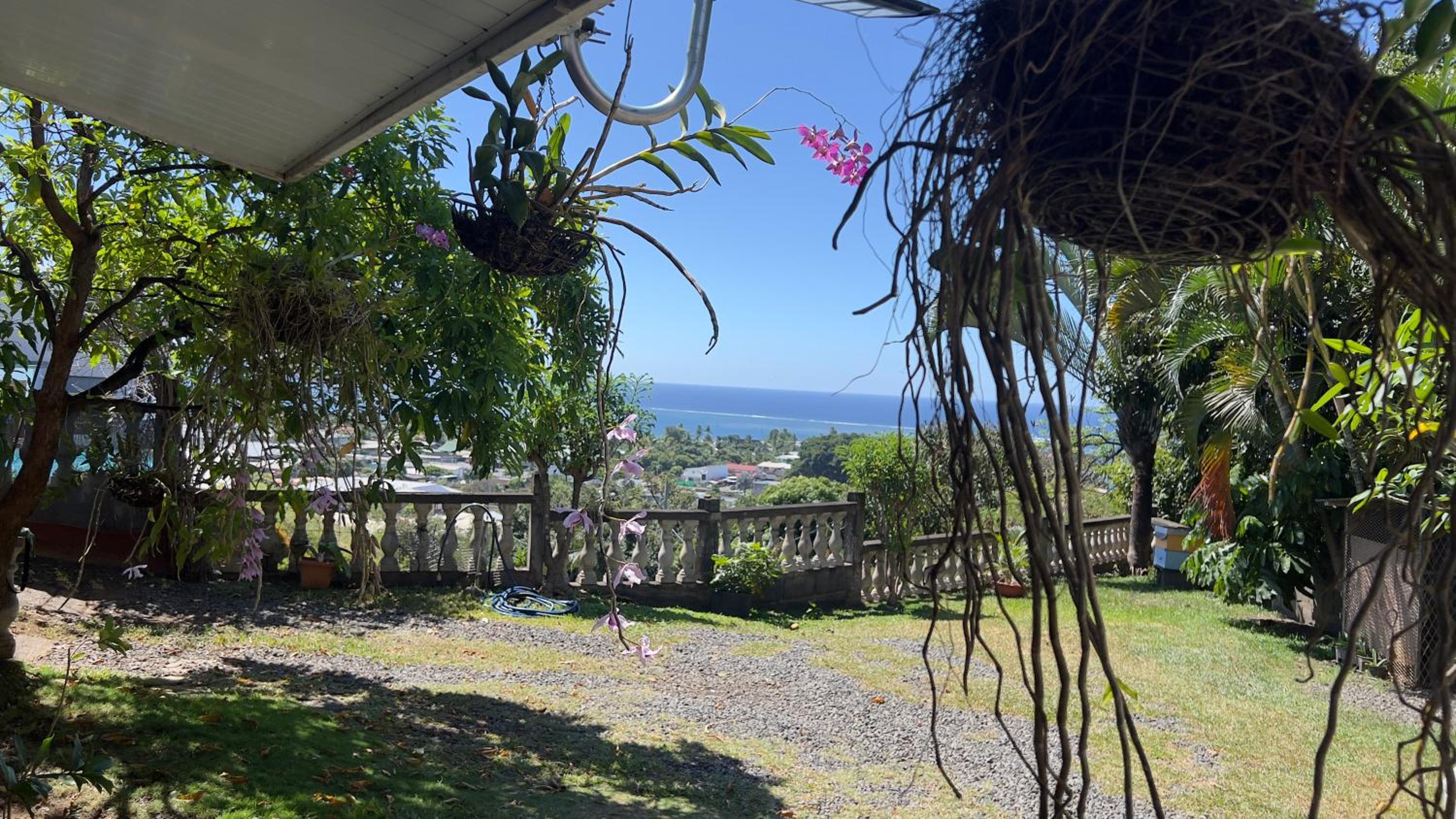 iaoarana people