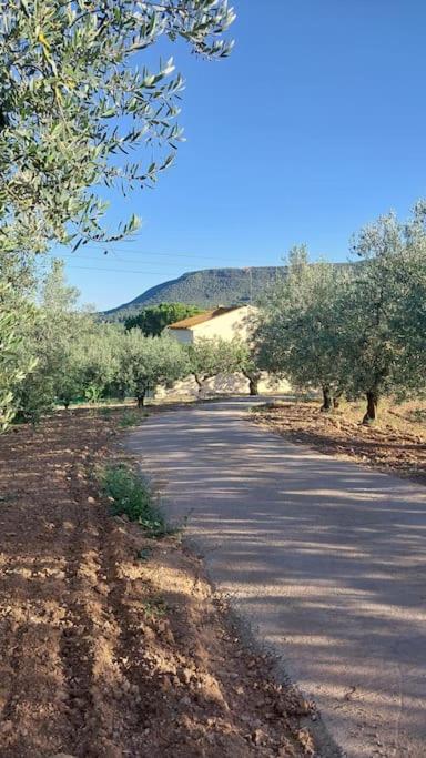 Enoturisme a Cal Martí amb el celler Joan Grill view 2