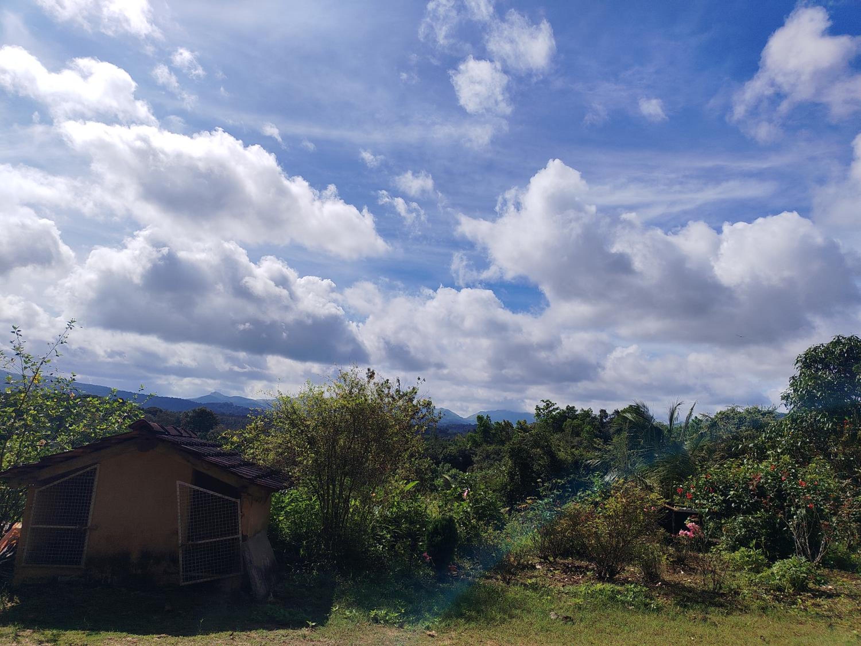 Mandagadde homestay