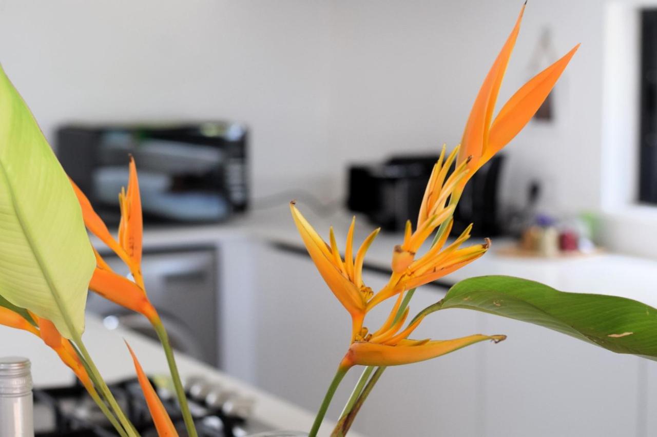 Into the Sun - Modern Holiday Home photo 3