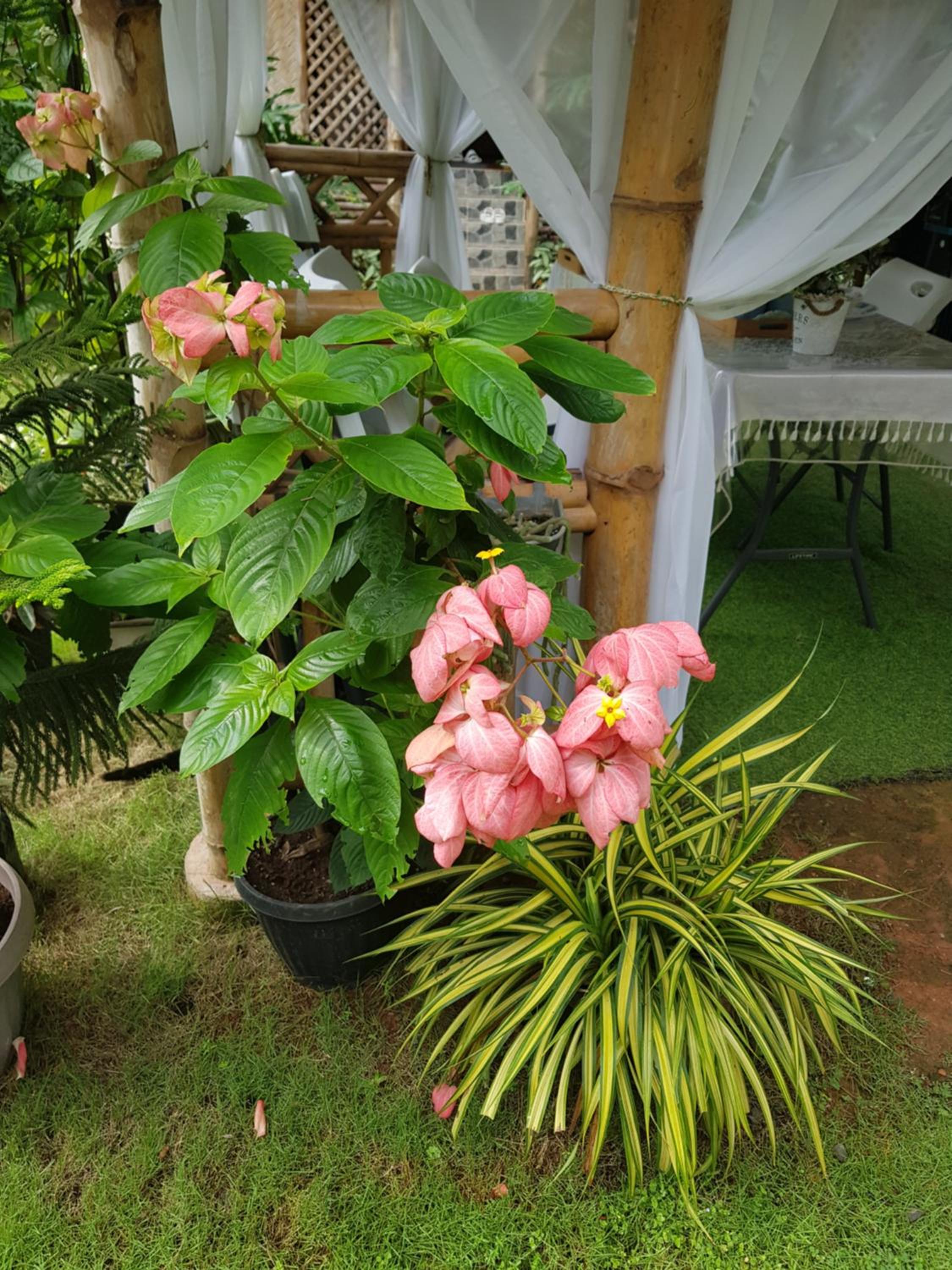 Hidden Haven Coron view 3
