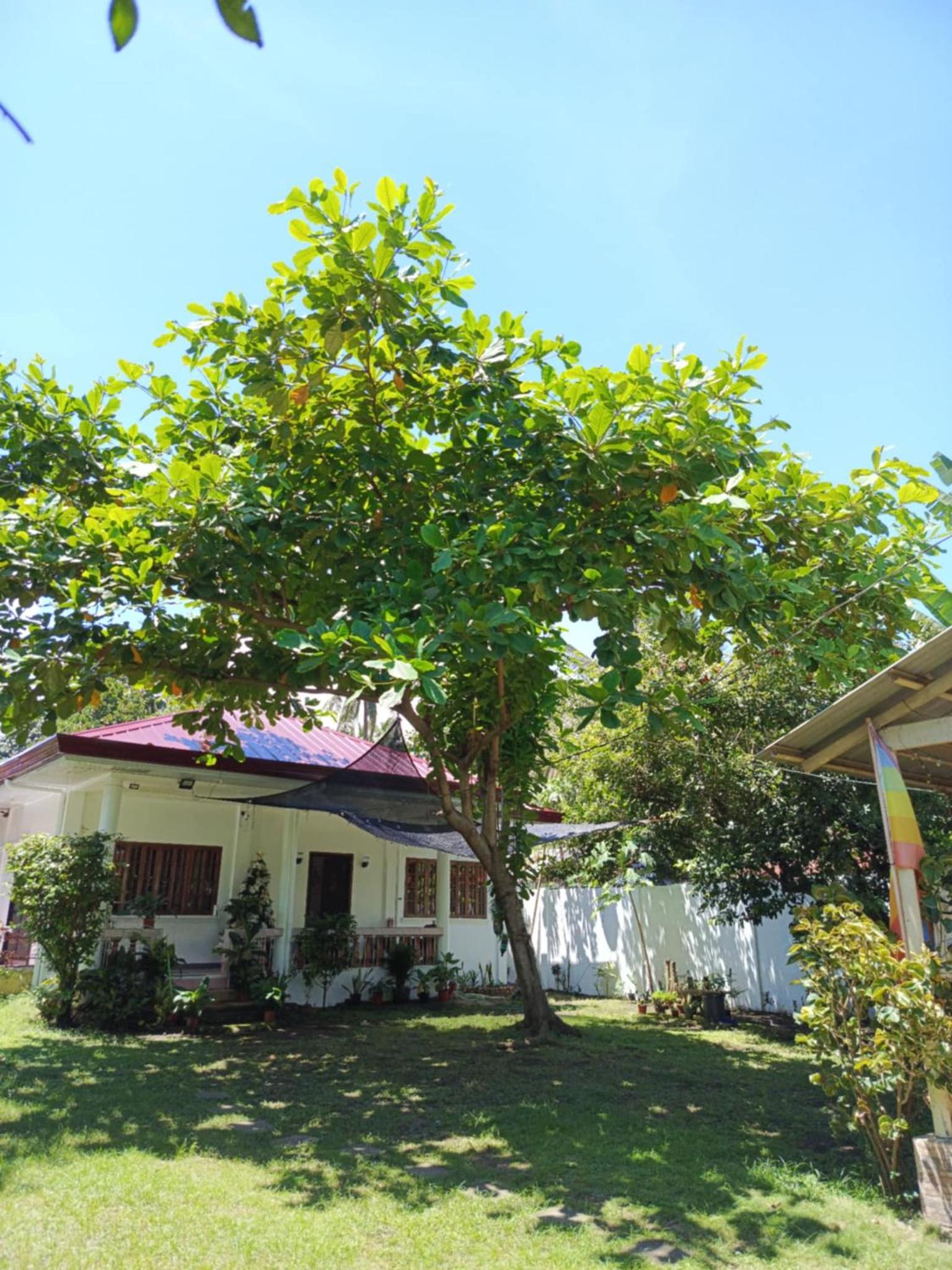 MG Villa view 3