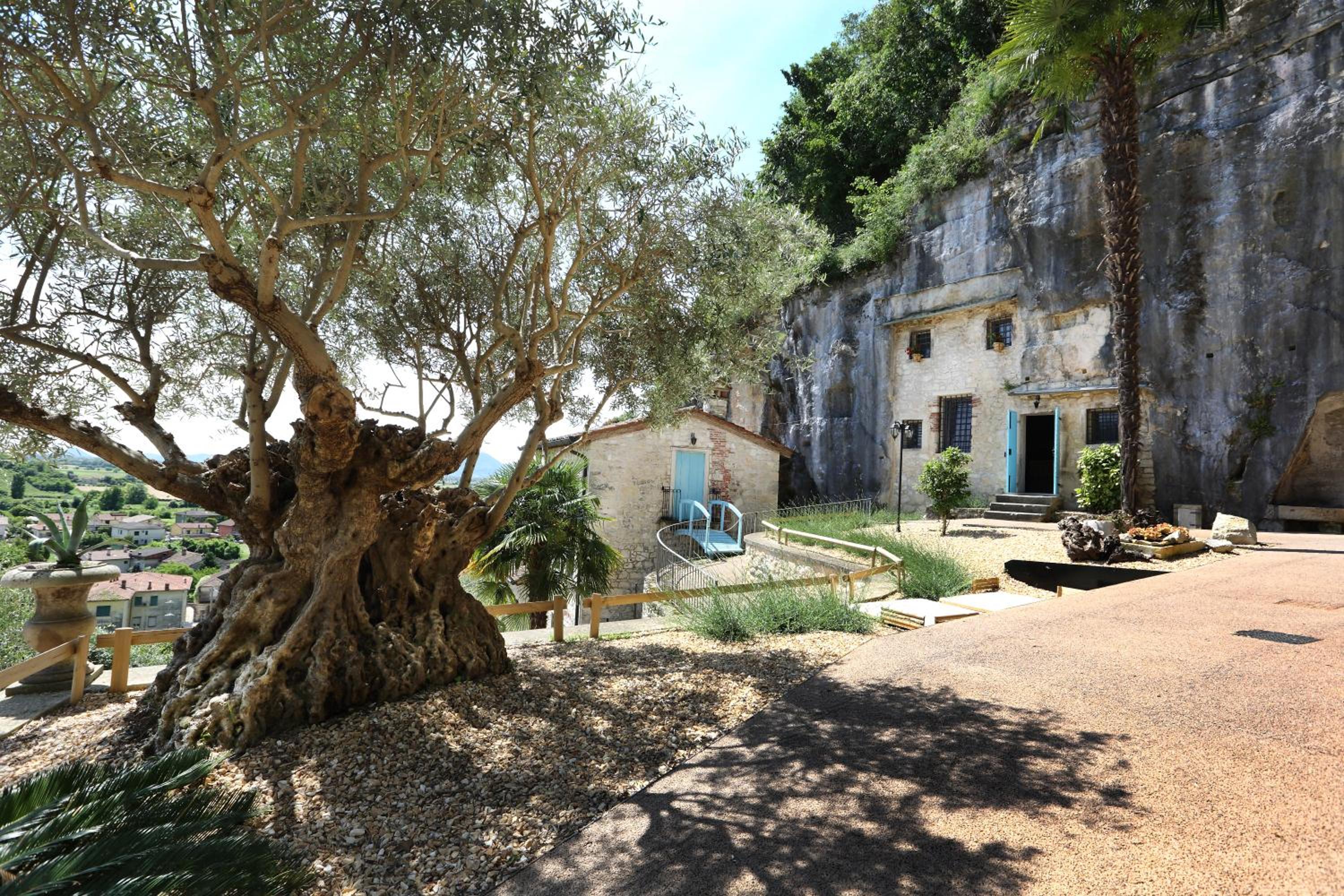 Photo 11