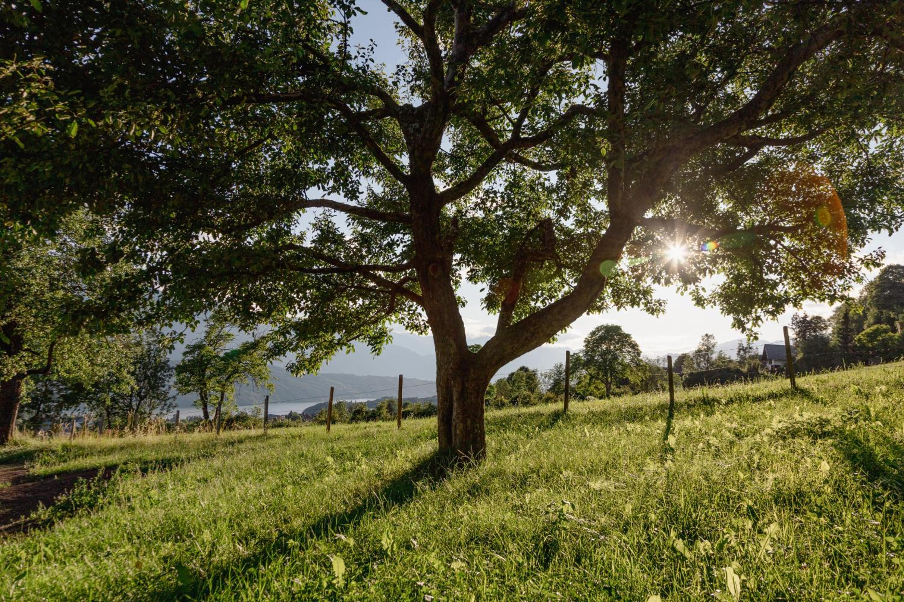 Bio- und Vitalbauernhof Bacherhof
