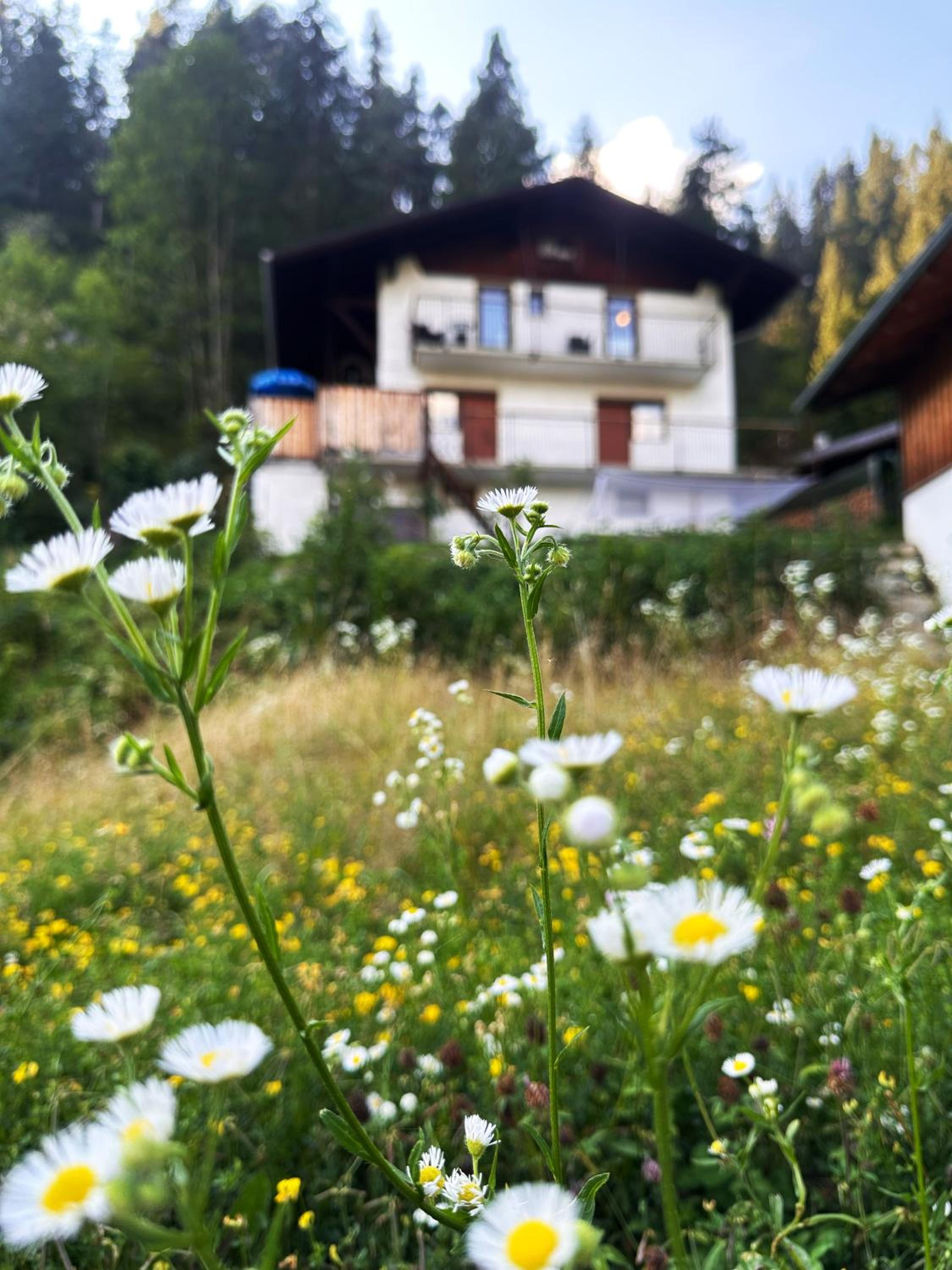 Haus Gratz