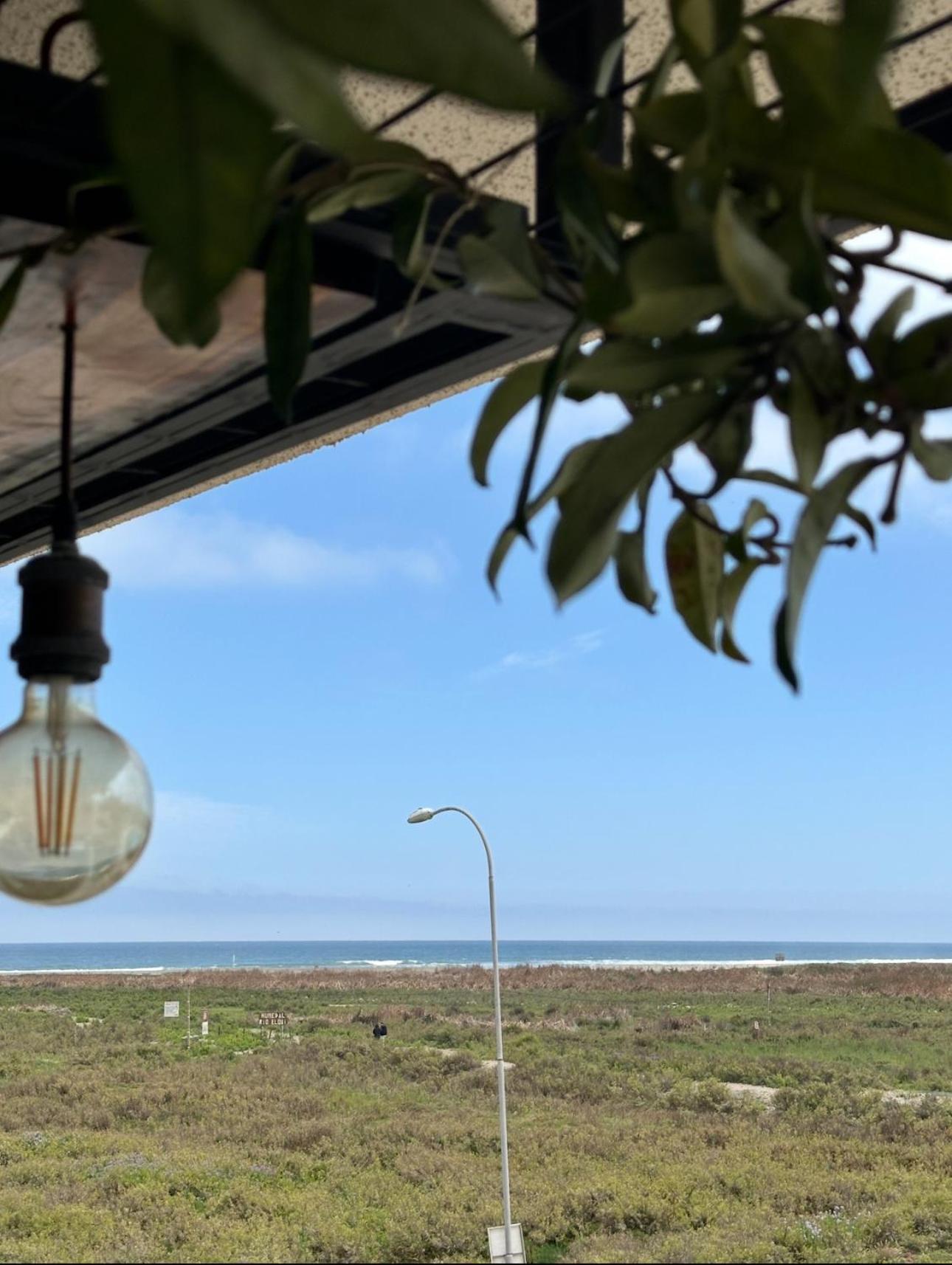 Jardin con vista al oceano