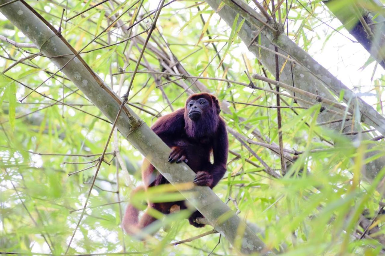 Las Cabanas del Rio - Property Image 25