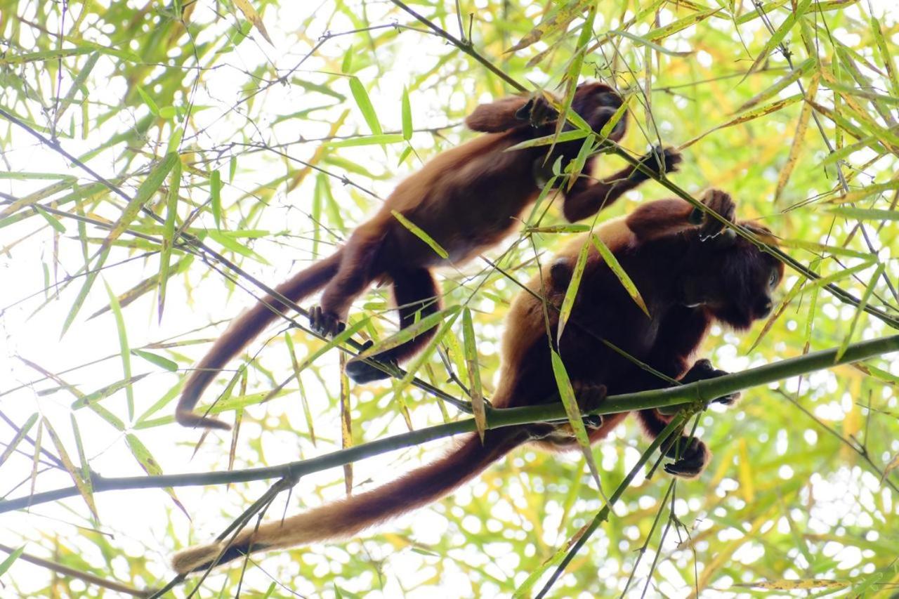 Las Cabanas del Rio - Property Image 1