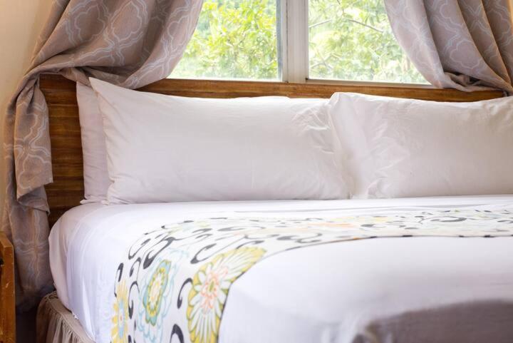 ELM Beach Suites - Property Image 49