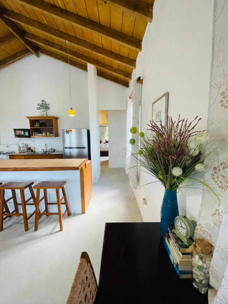 ELM Beach Suites - Property Image 62