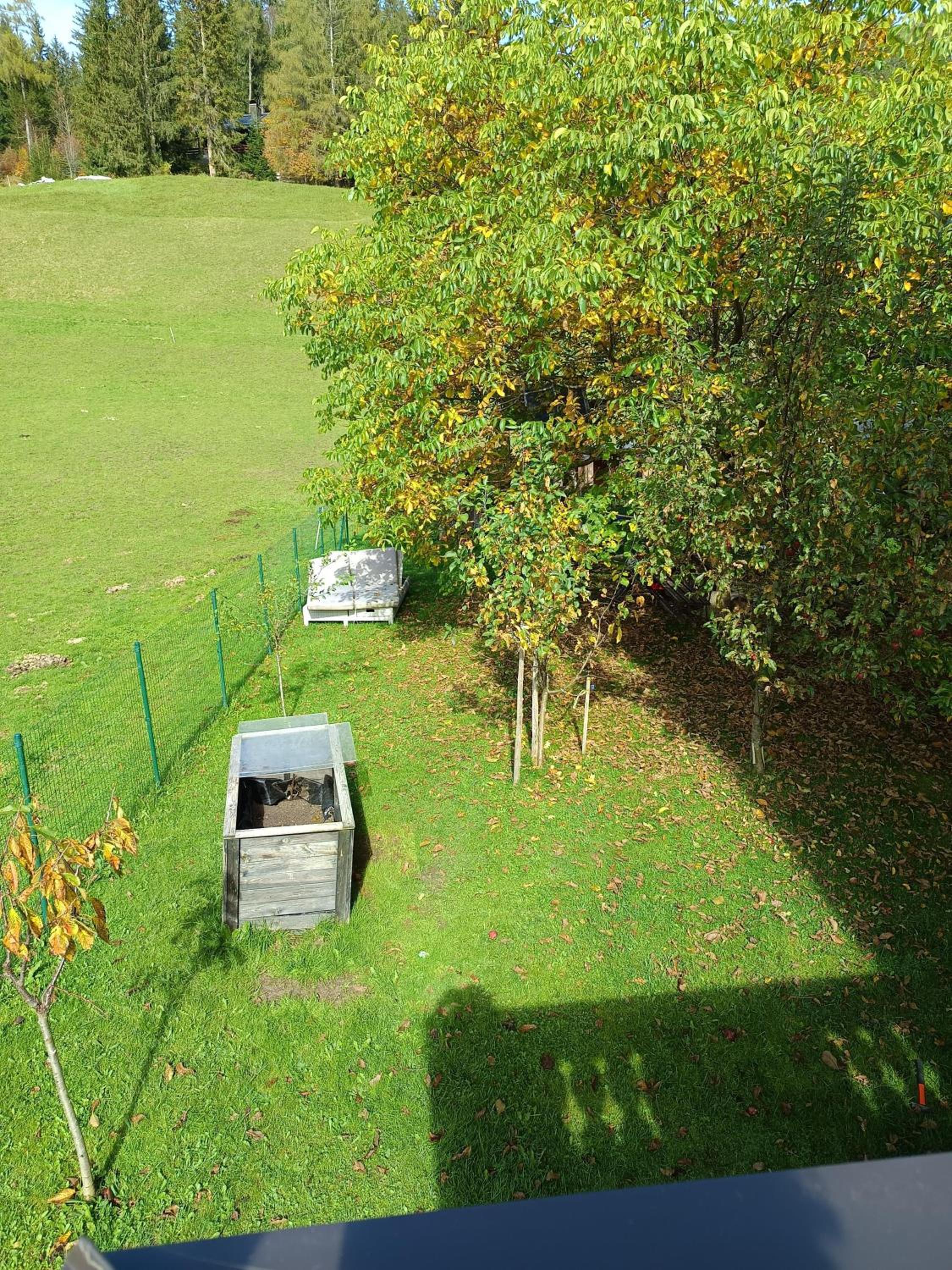 Brandterhof