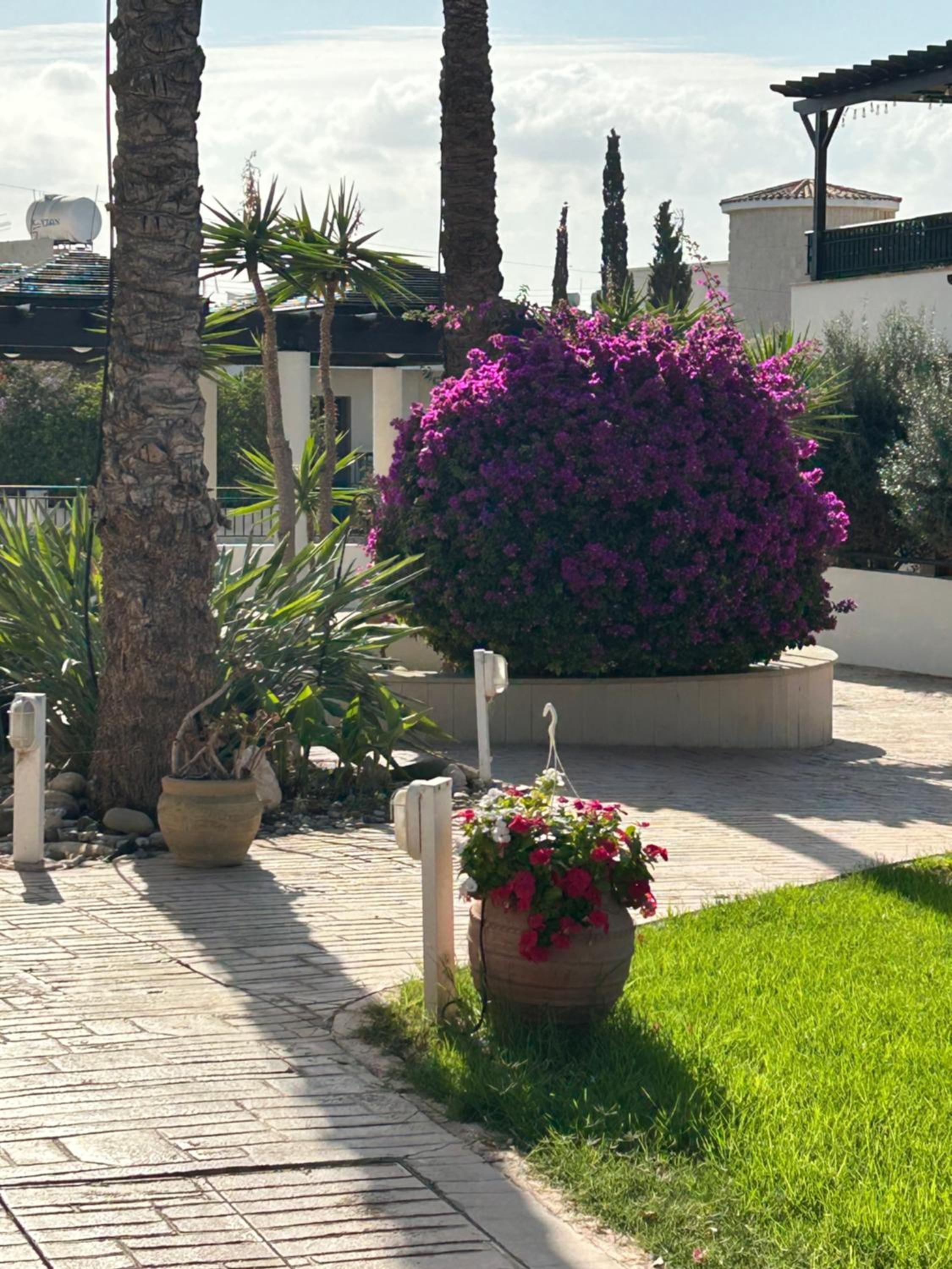 Lovely 2 Bed Apartment Aphrodite Gardens, Paphos, Cyprus