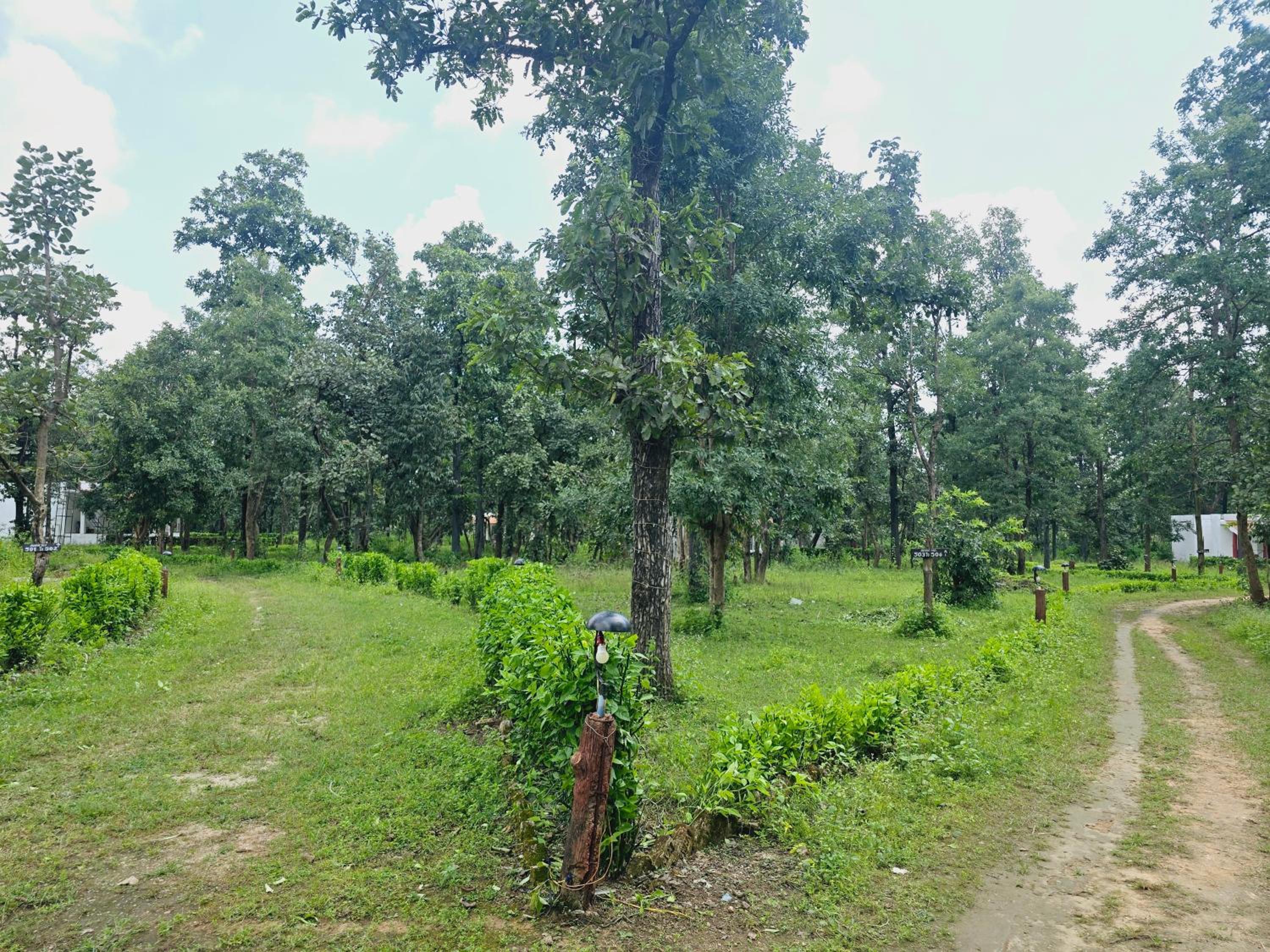 Waghoba resort
