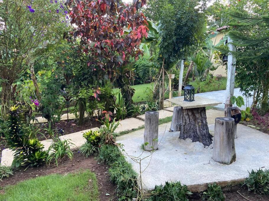 Villa Rosie Propiedad Nueva