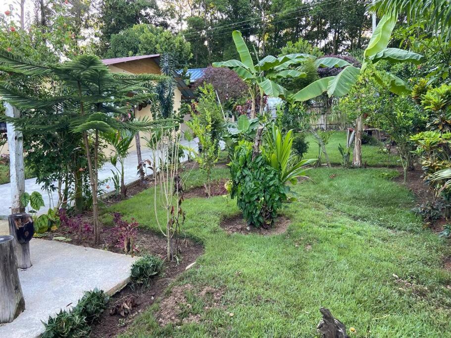 Villa Rosie Propiedad Nueva