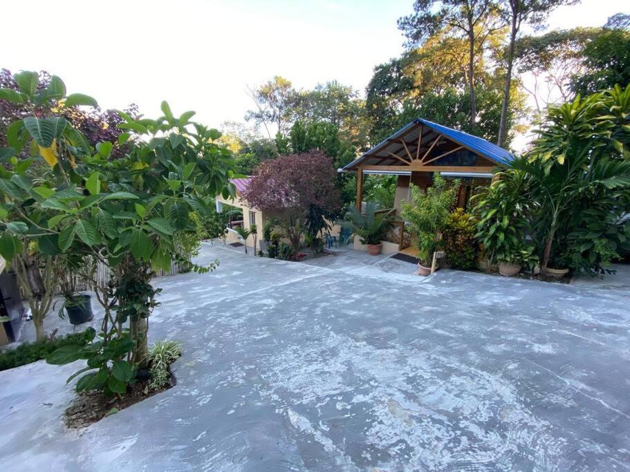 Villa Rosie Propiedad Nueva