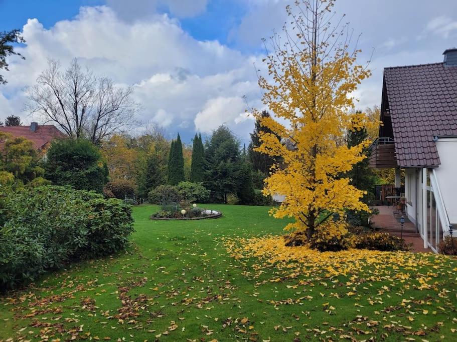 Großes Haus mit Garten, Sauna, Flügel, Kamin uvm view 4