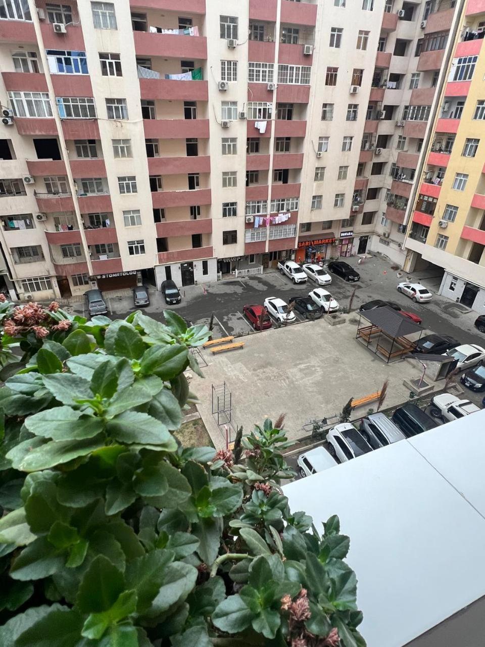 Modern apartment