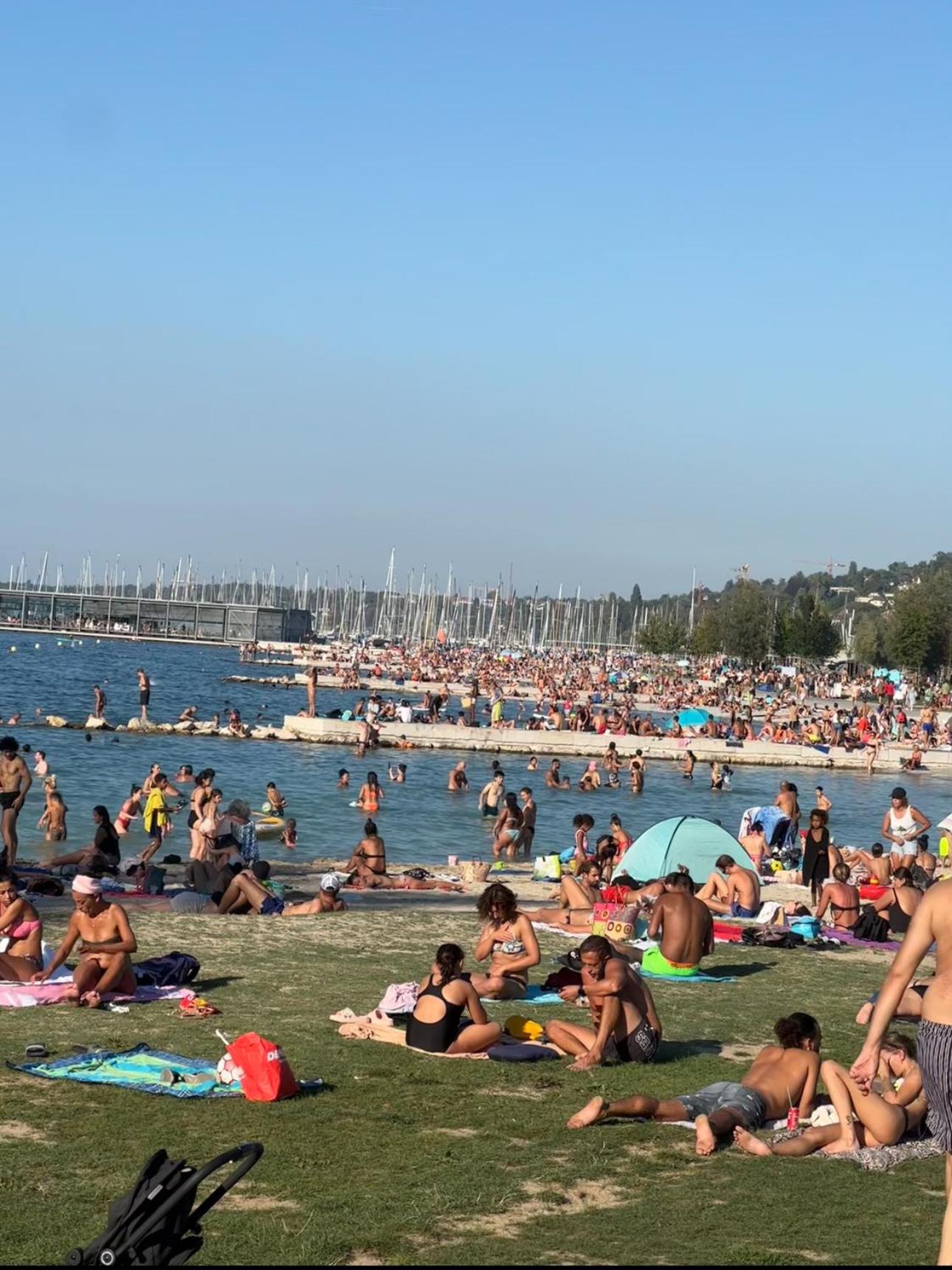 Amazing location Geneva , Eauv-Vives