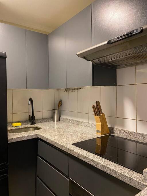 Céntrico departamento Santiago 1122