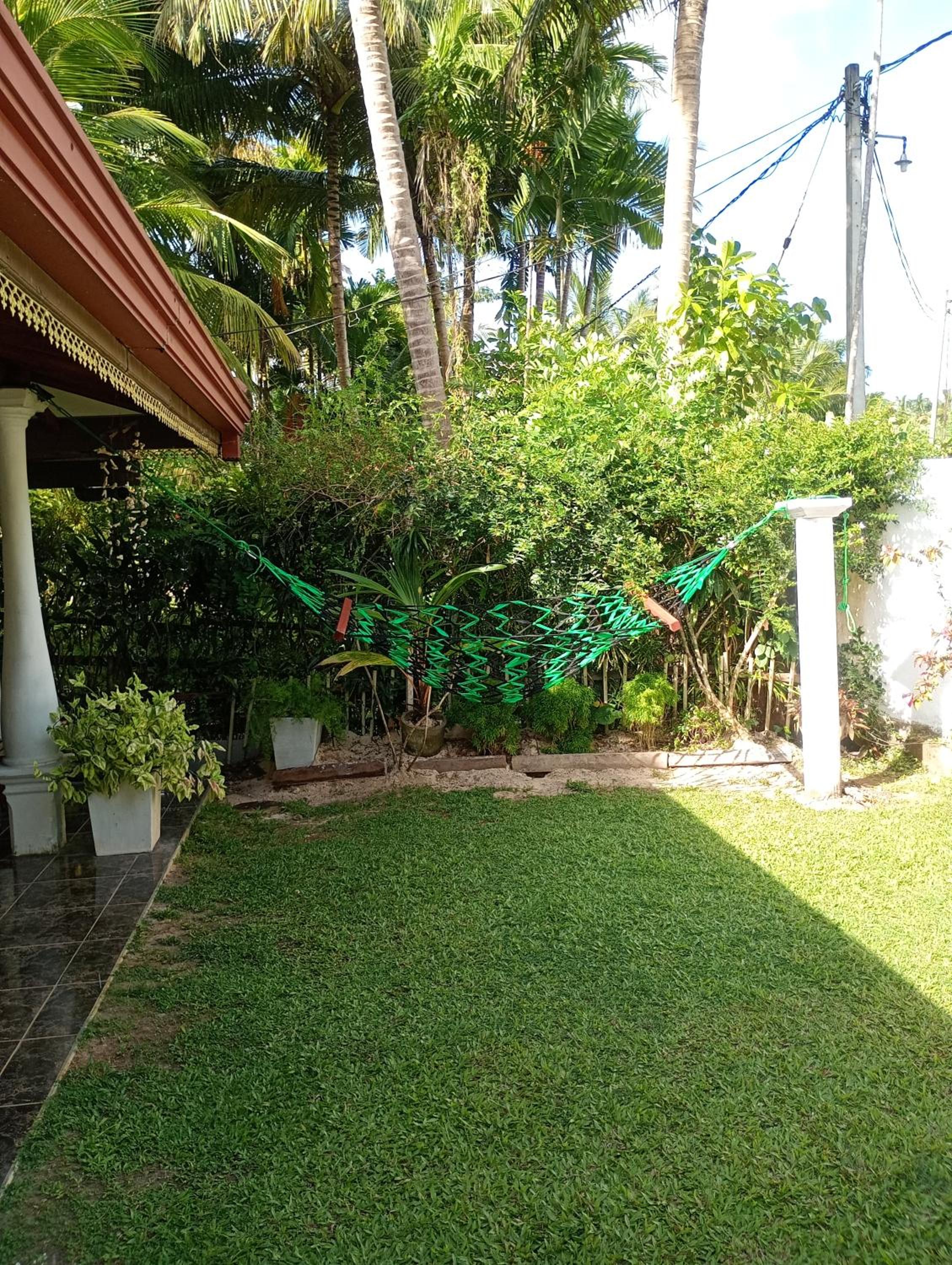 Photo 19