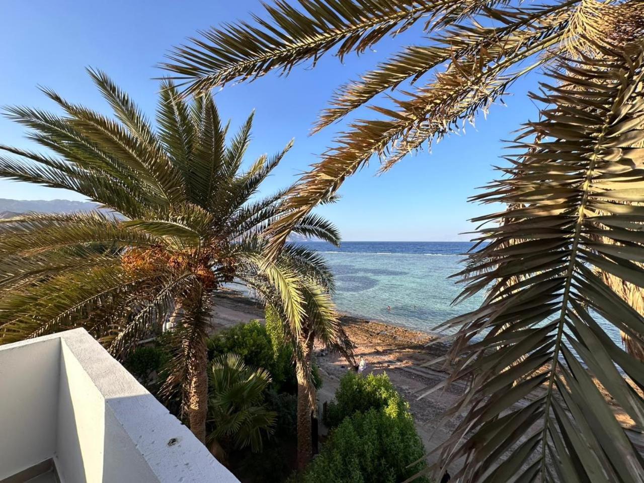 PanoPalm Dahab Studios