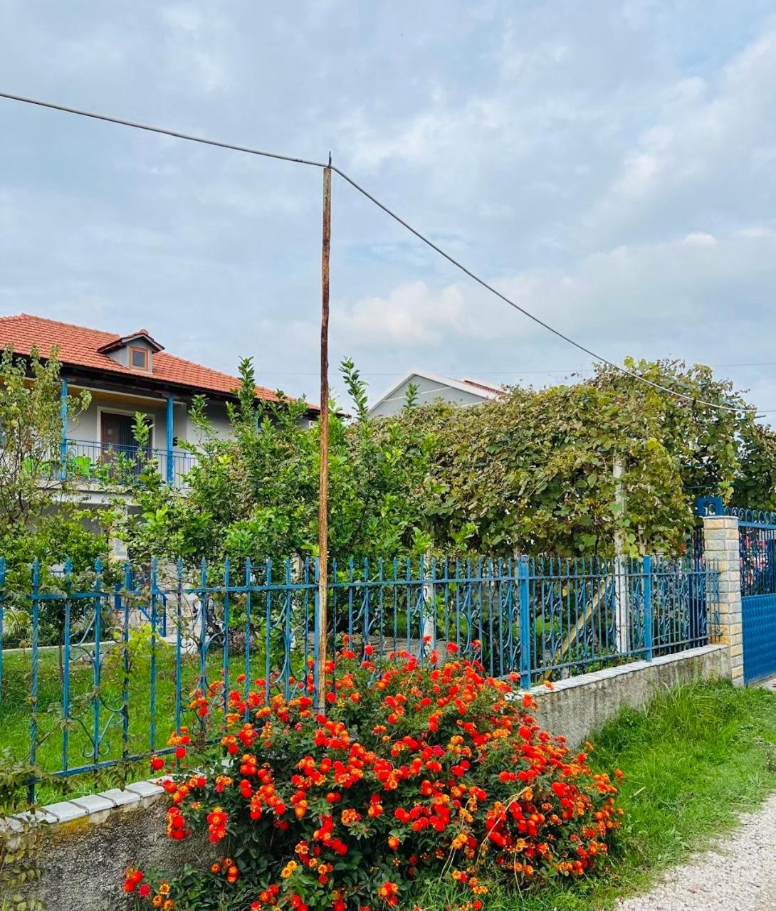 Bert-House close to the sea