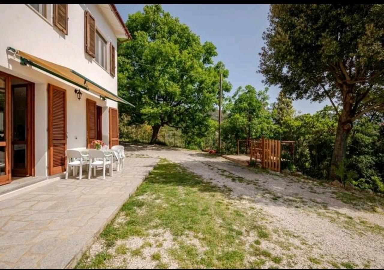 La Vecchia Quercia photo 5