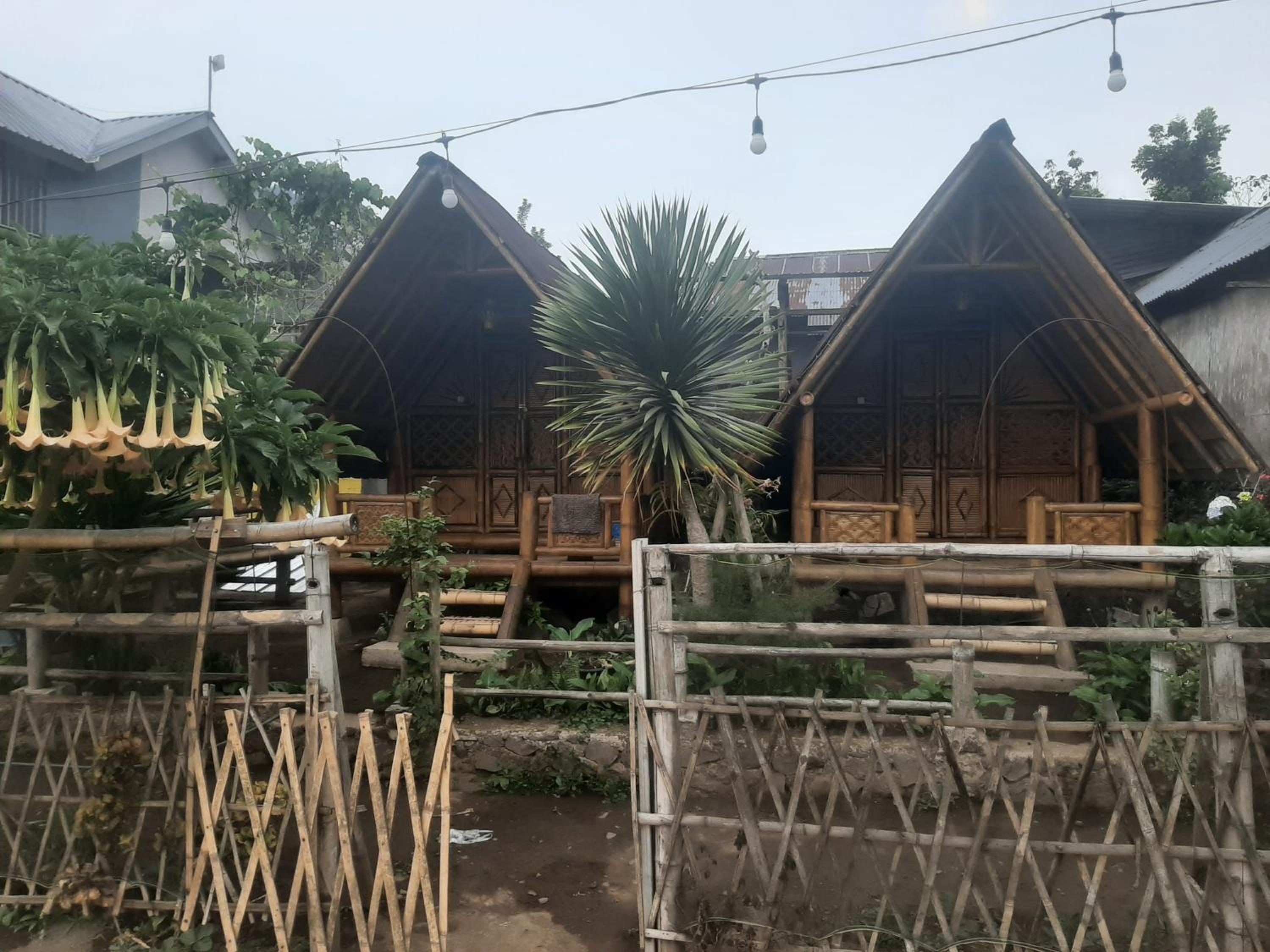 Omah Bamboo view 4