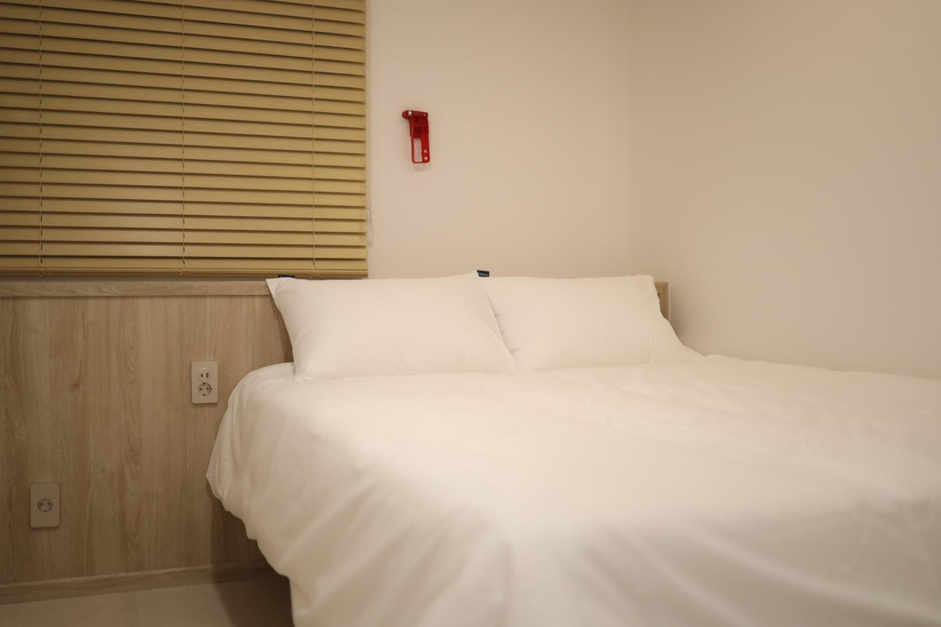 Manso Hostel in DDP - Image 4