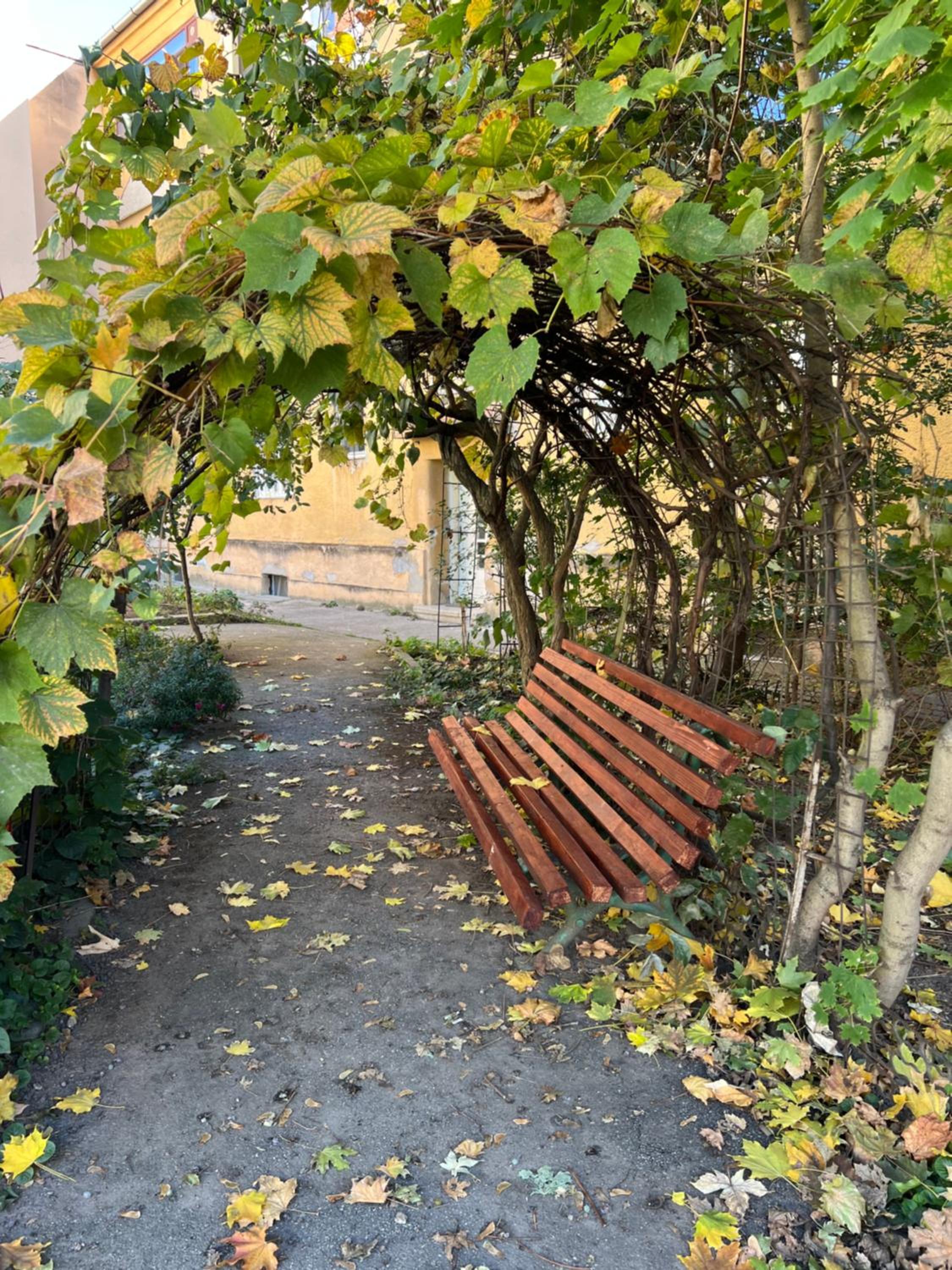 Studio Anca-old town Sibiu