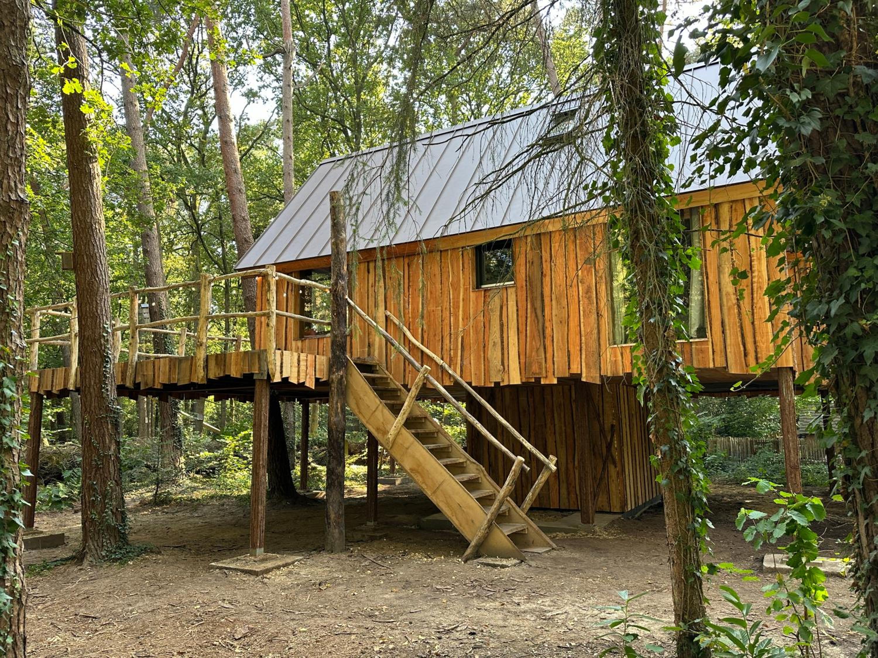 Unieke boomhutten met hot tub door Bed en Boshuisjes