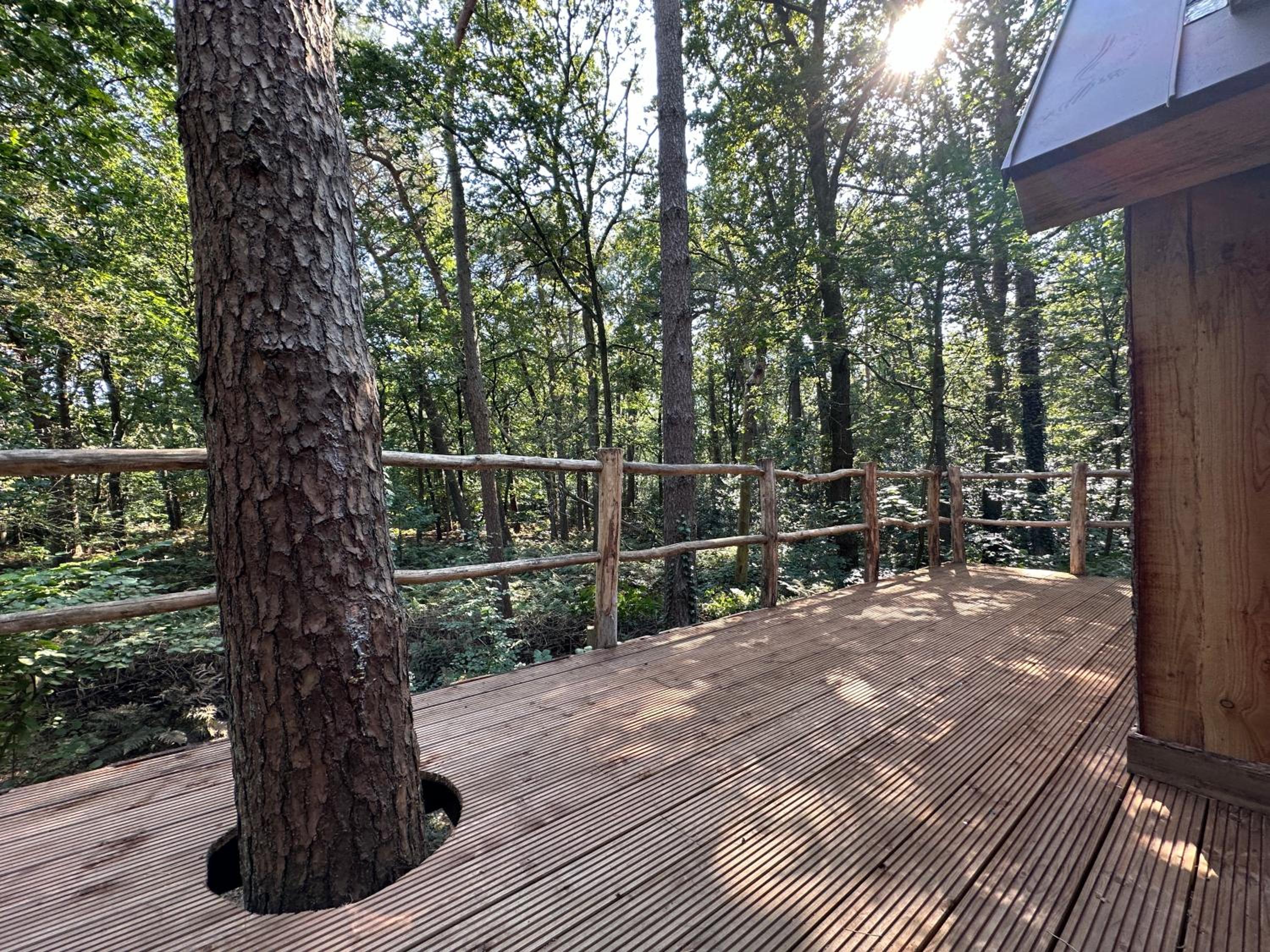 Unieke boomhutten met hot tub door Bed en Boshuisjes