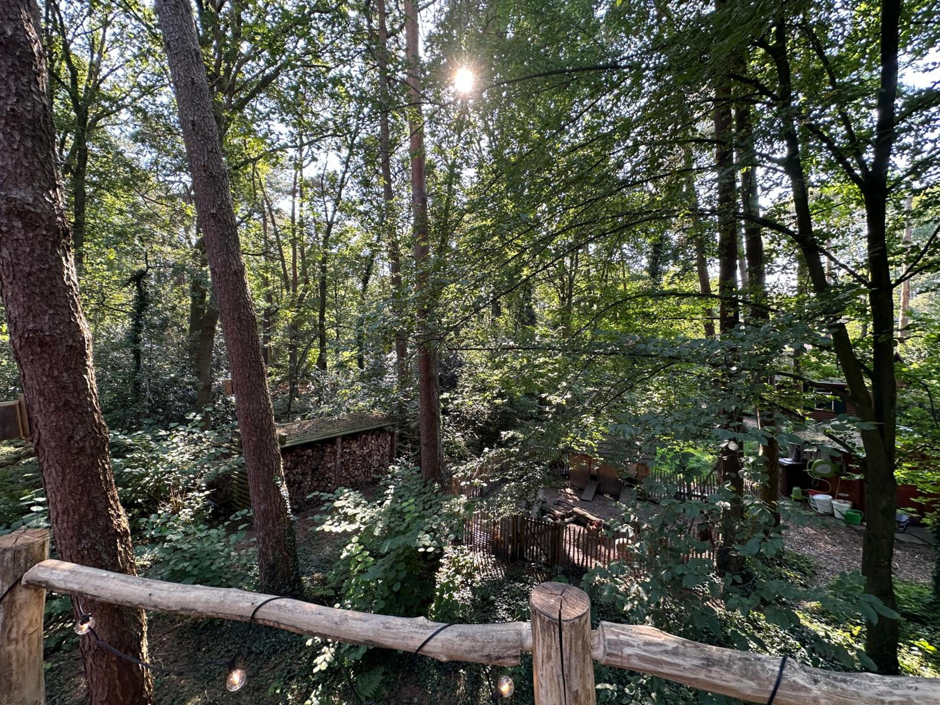 Unieke boomhutten met hot tub door Bed en Boshuisjes