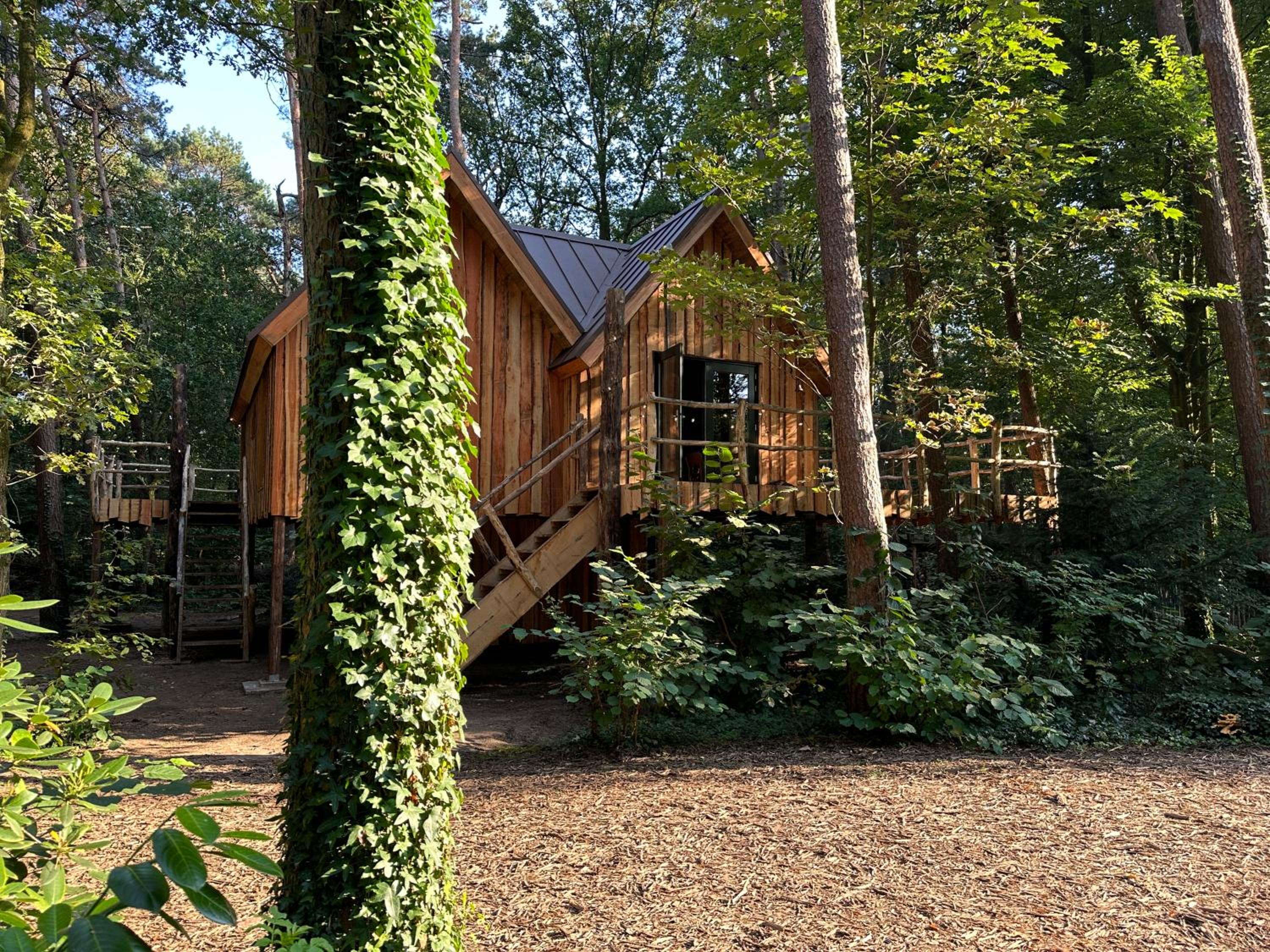 Unieke boomhutten met hot tub door Bed en Boshuisjes