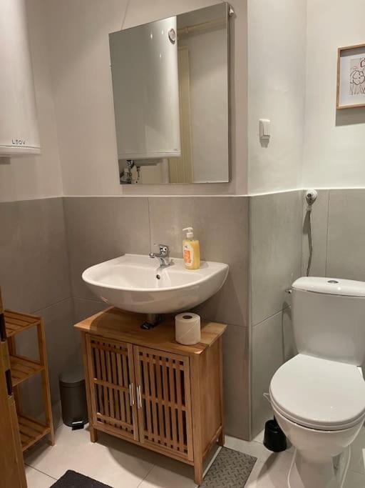 Zentrale Wohnung in Graz SOVA 2
