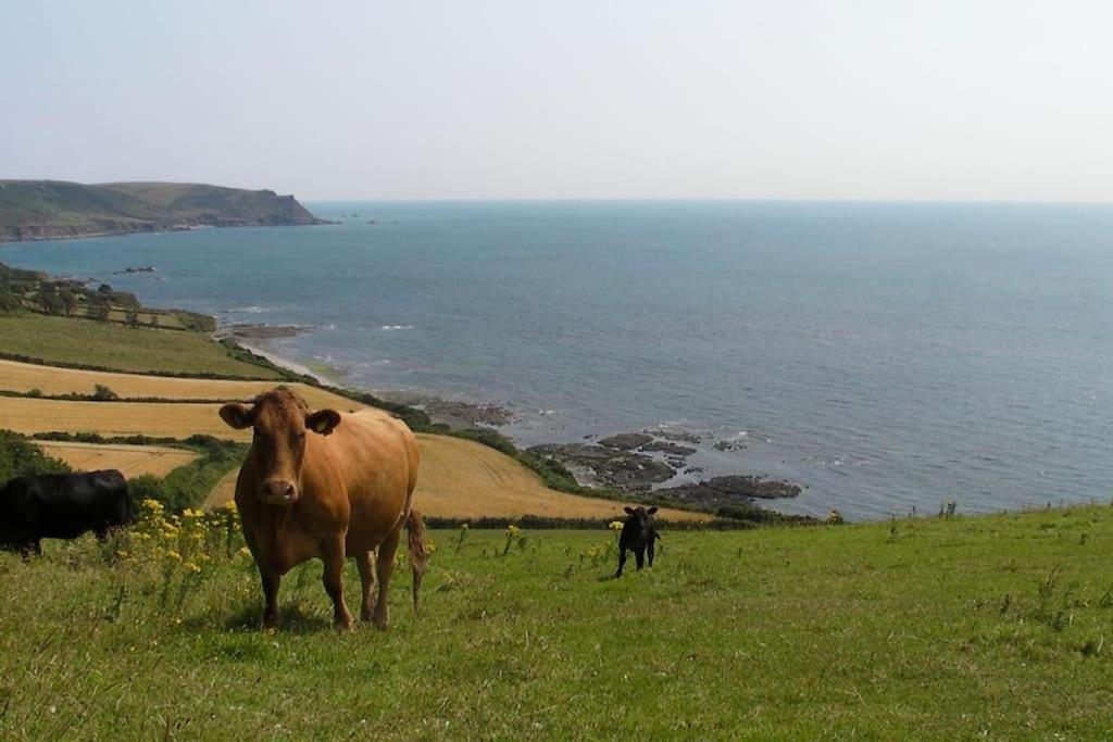 Foss Cottage coastal property with wonderful sea view view 5