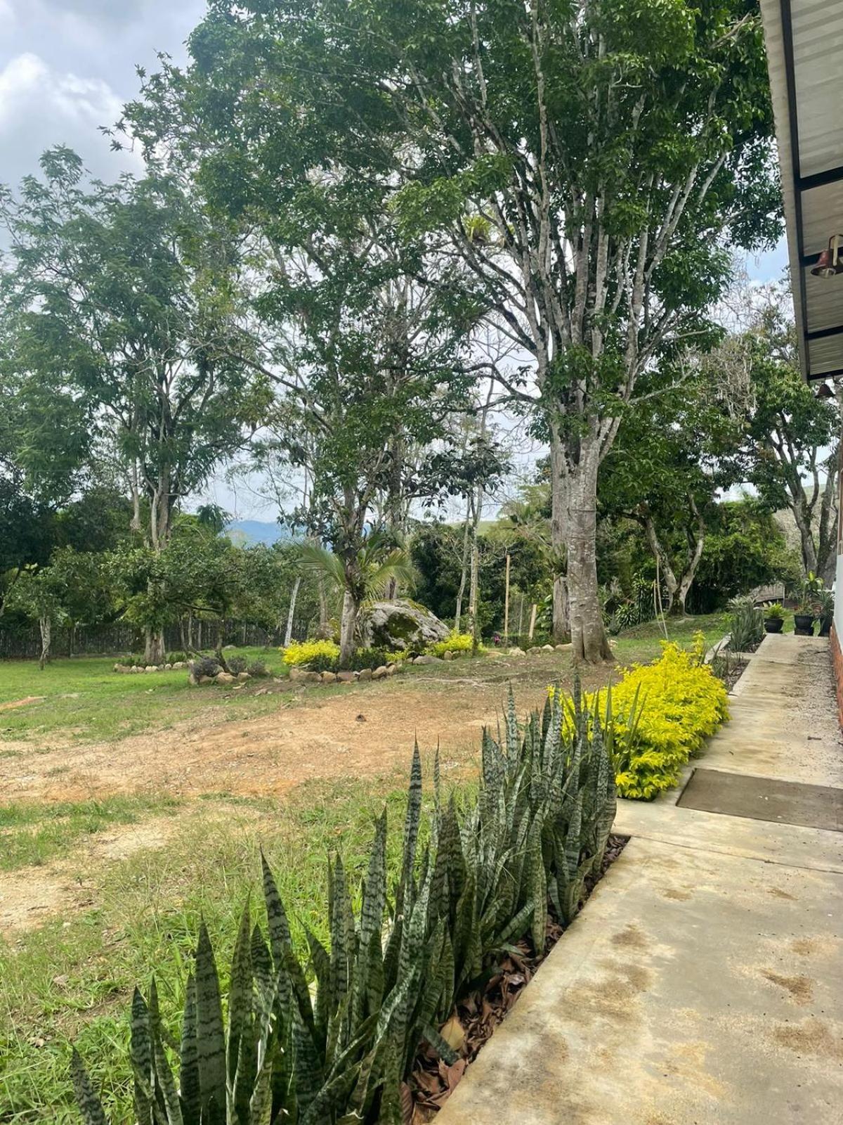 Villa Milú Refugio boutique