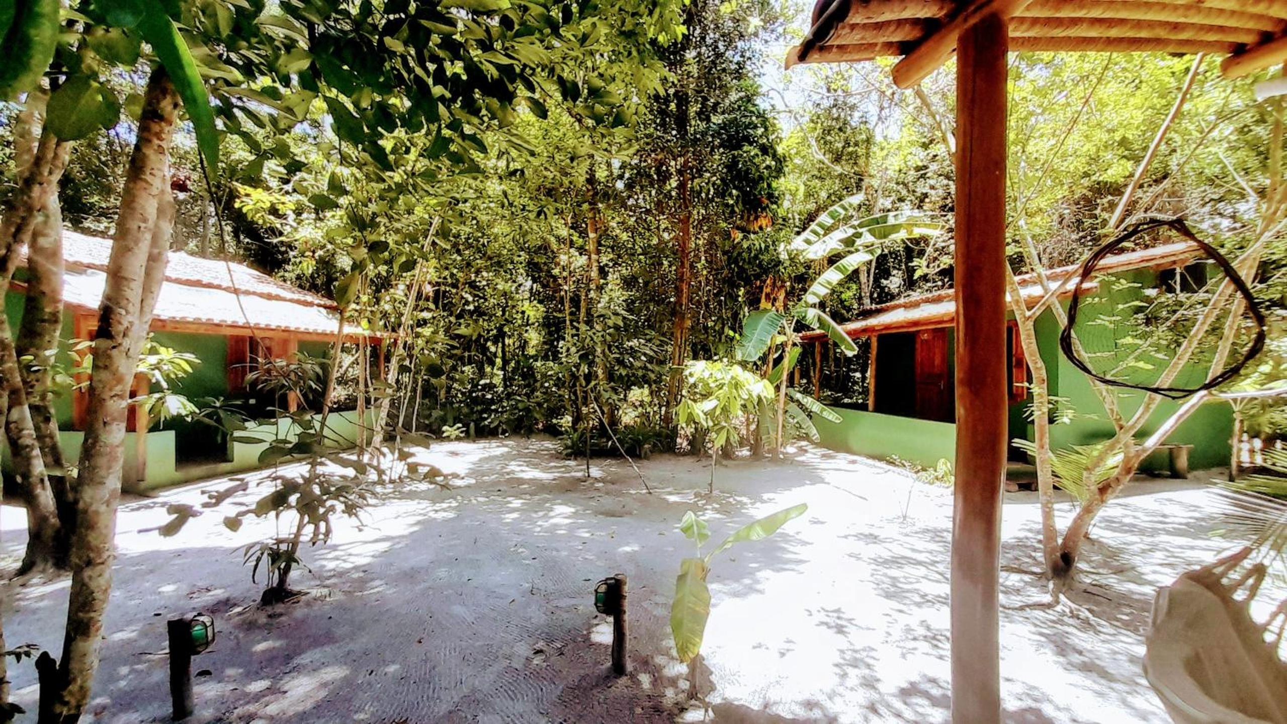 Photo 26