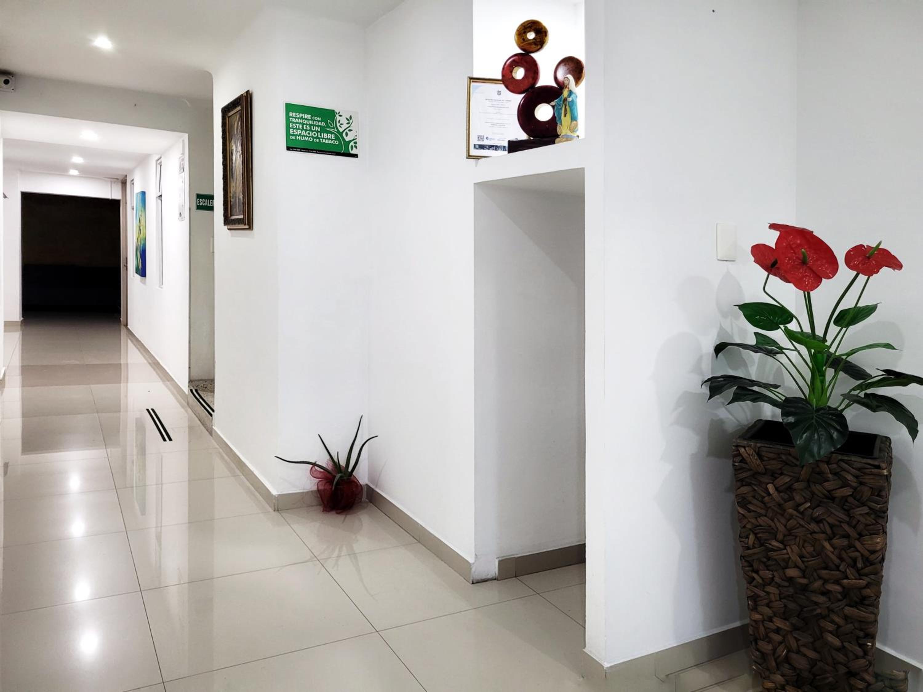 Bonito y Moderno, cerca al terminal de transporte